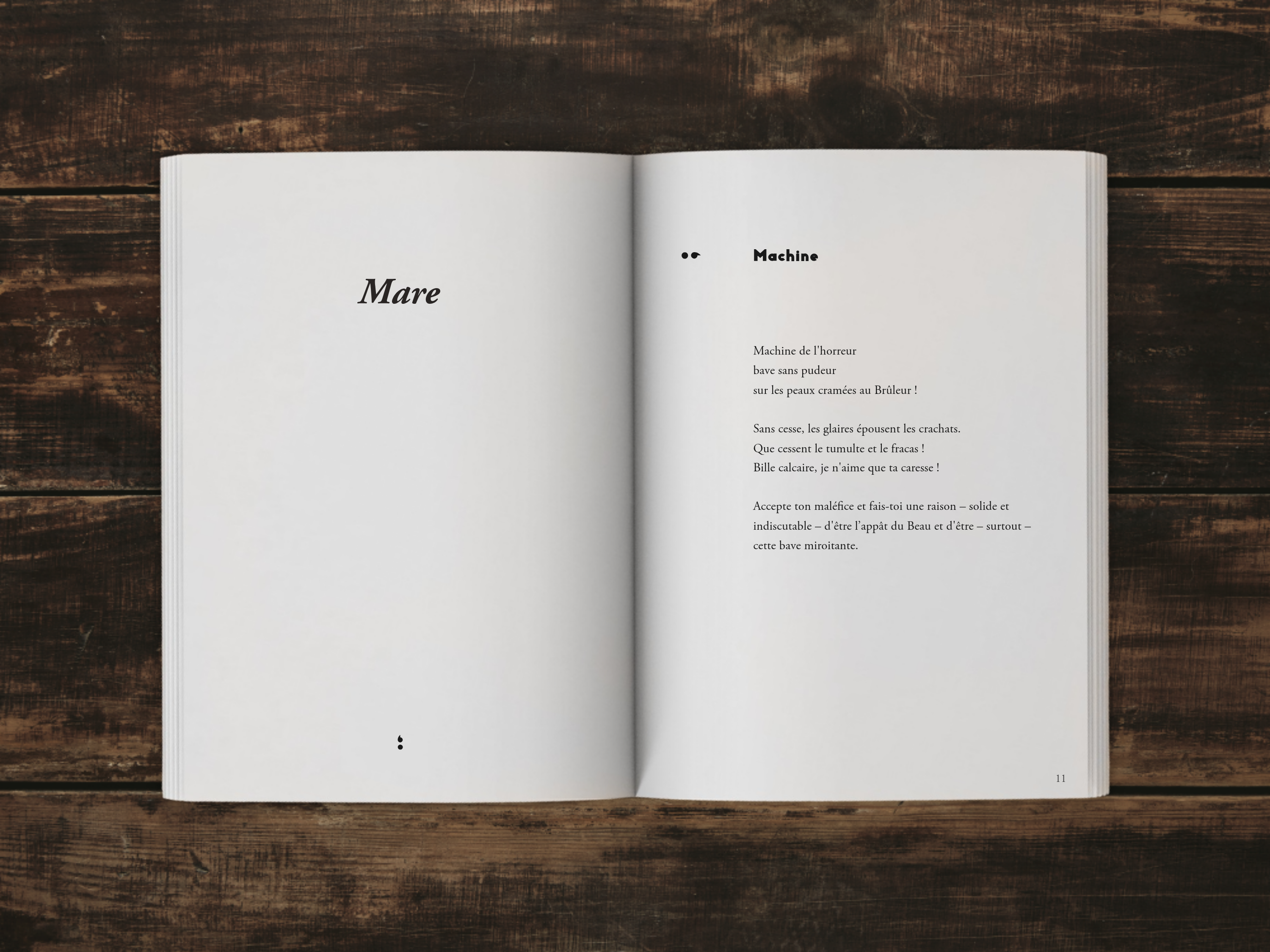 Cover of the book