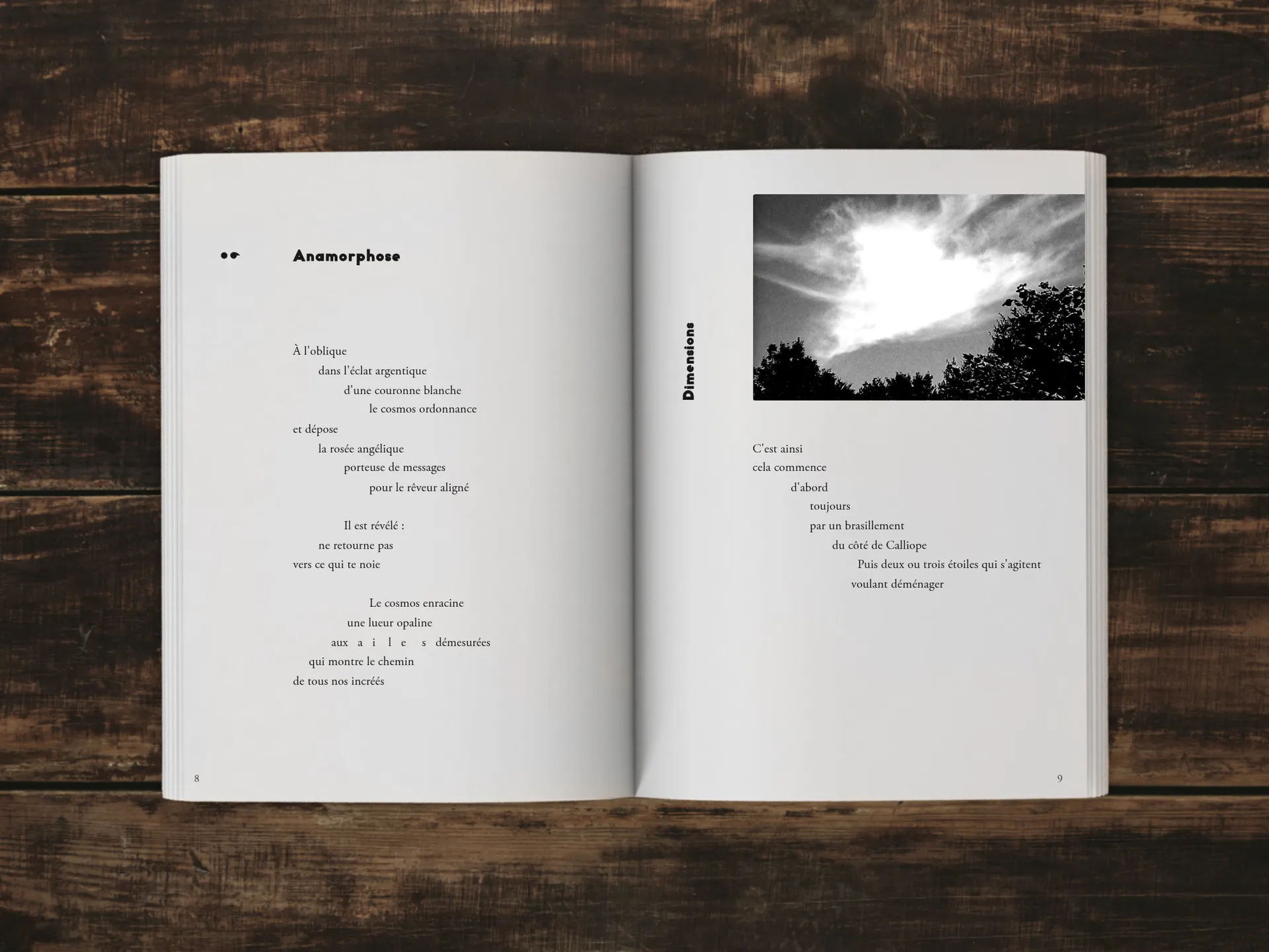 Cover of the book