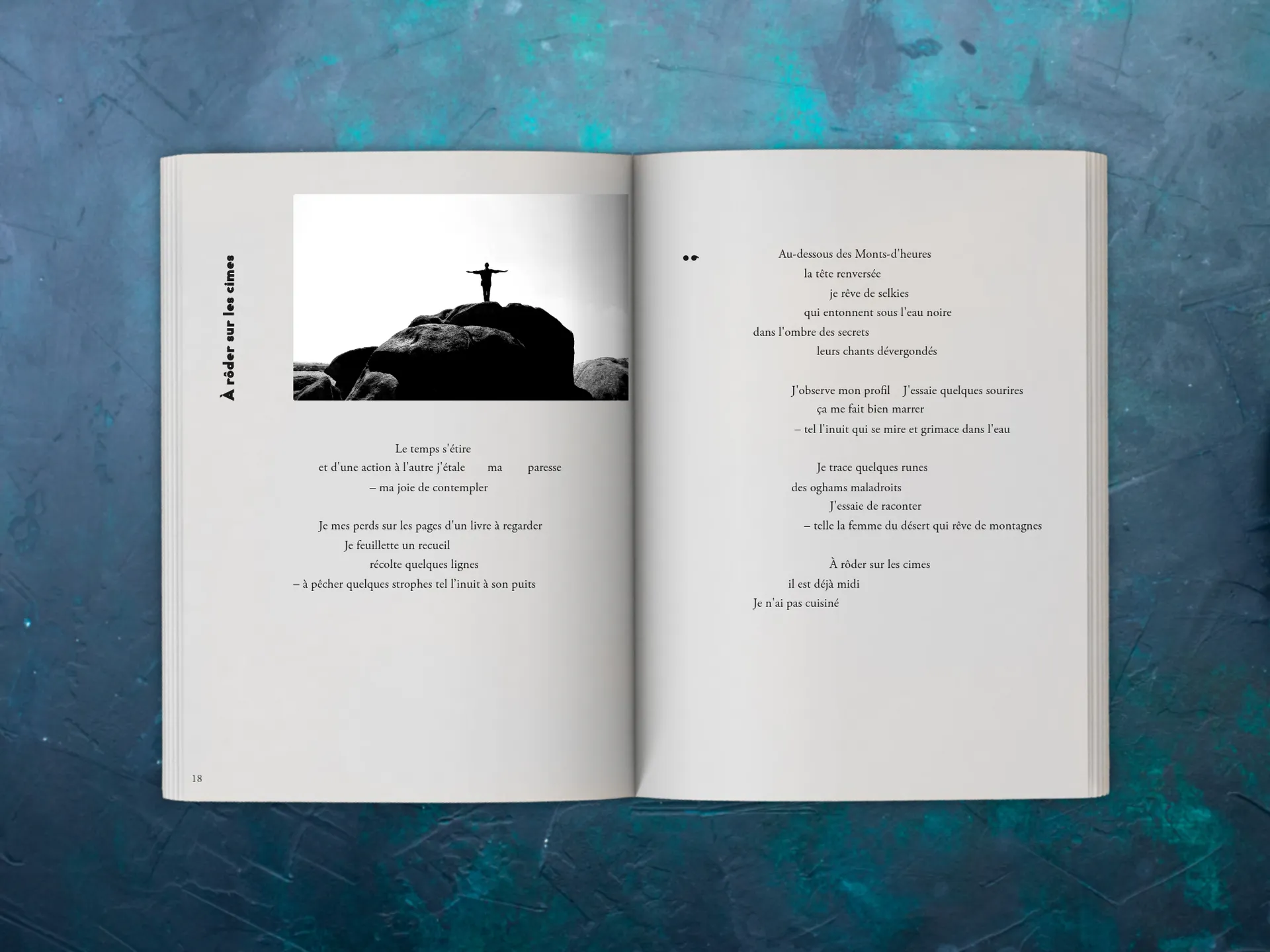 Cover of the book