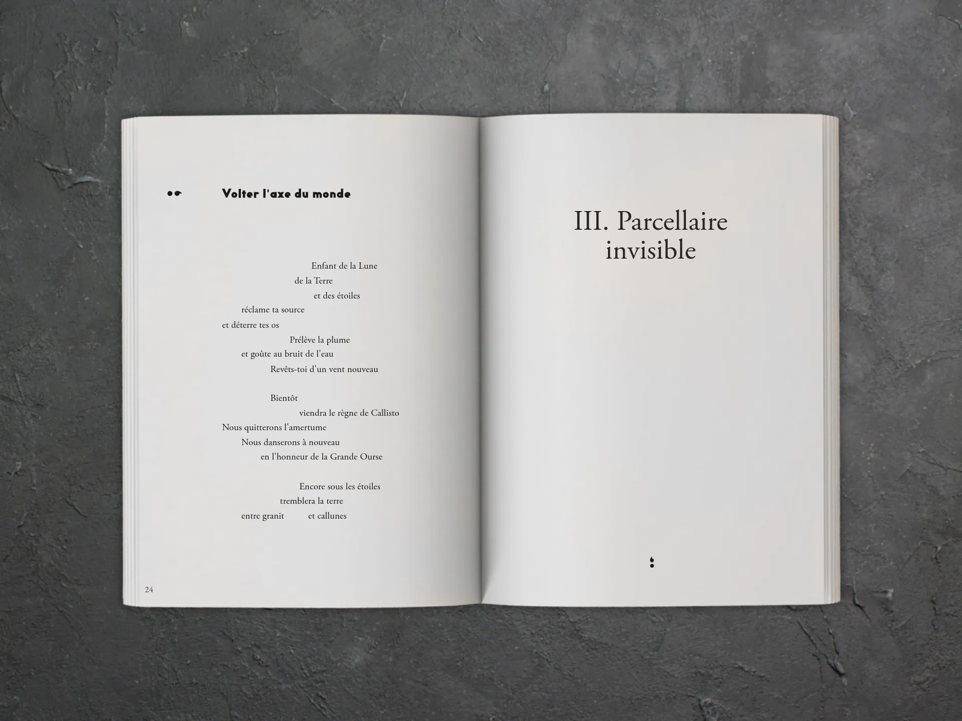 Cover of the book