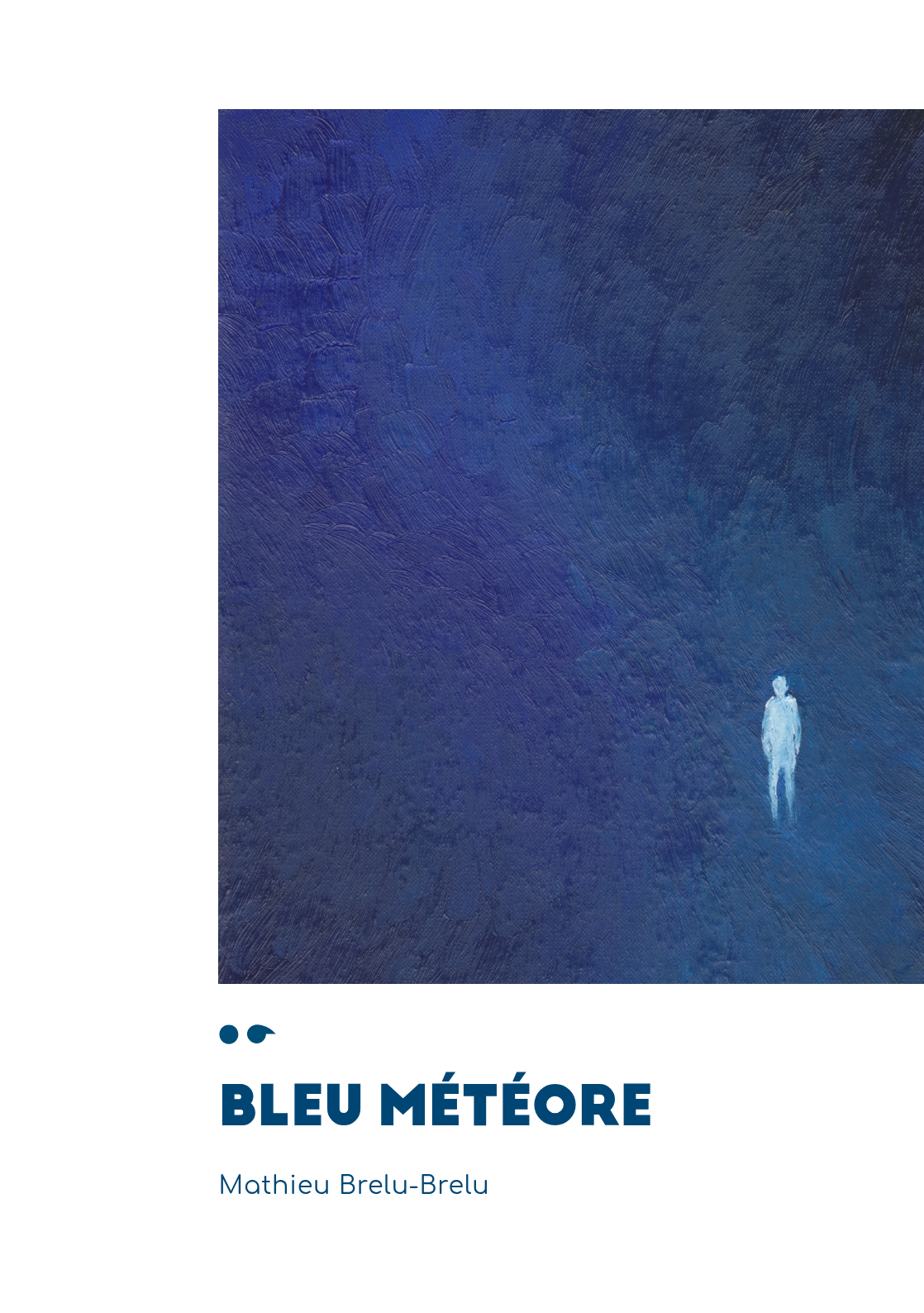 Cover of Bleu météore