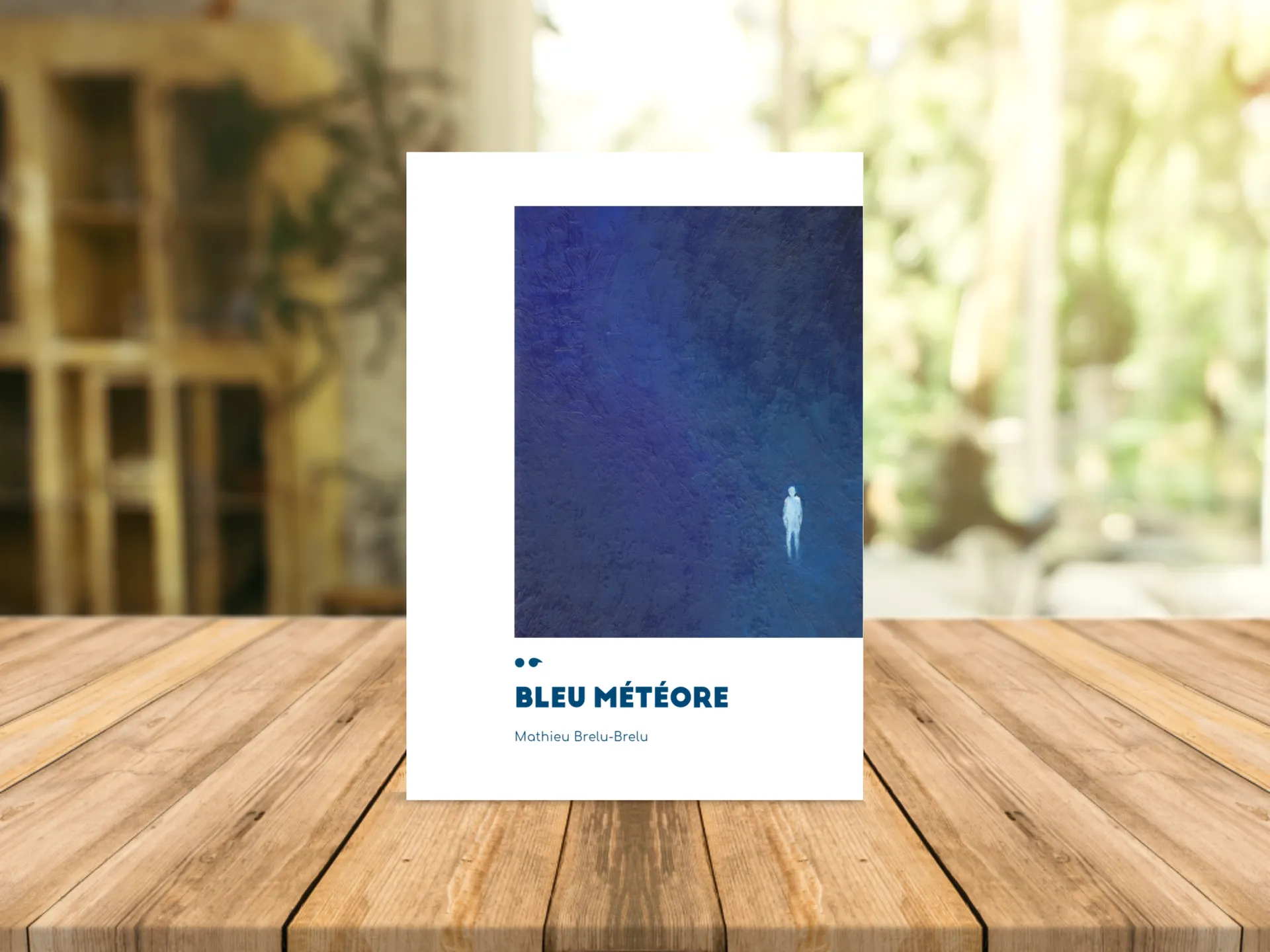 Cover of the book