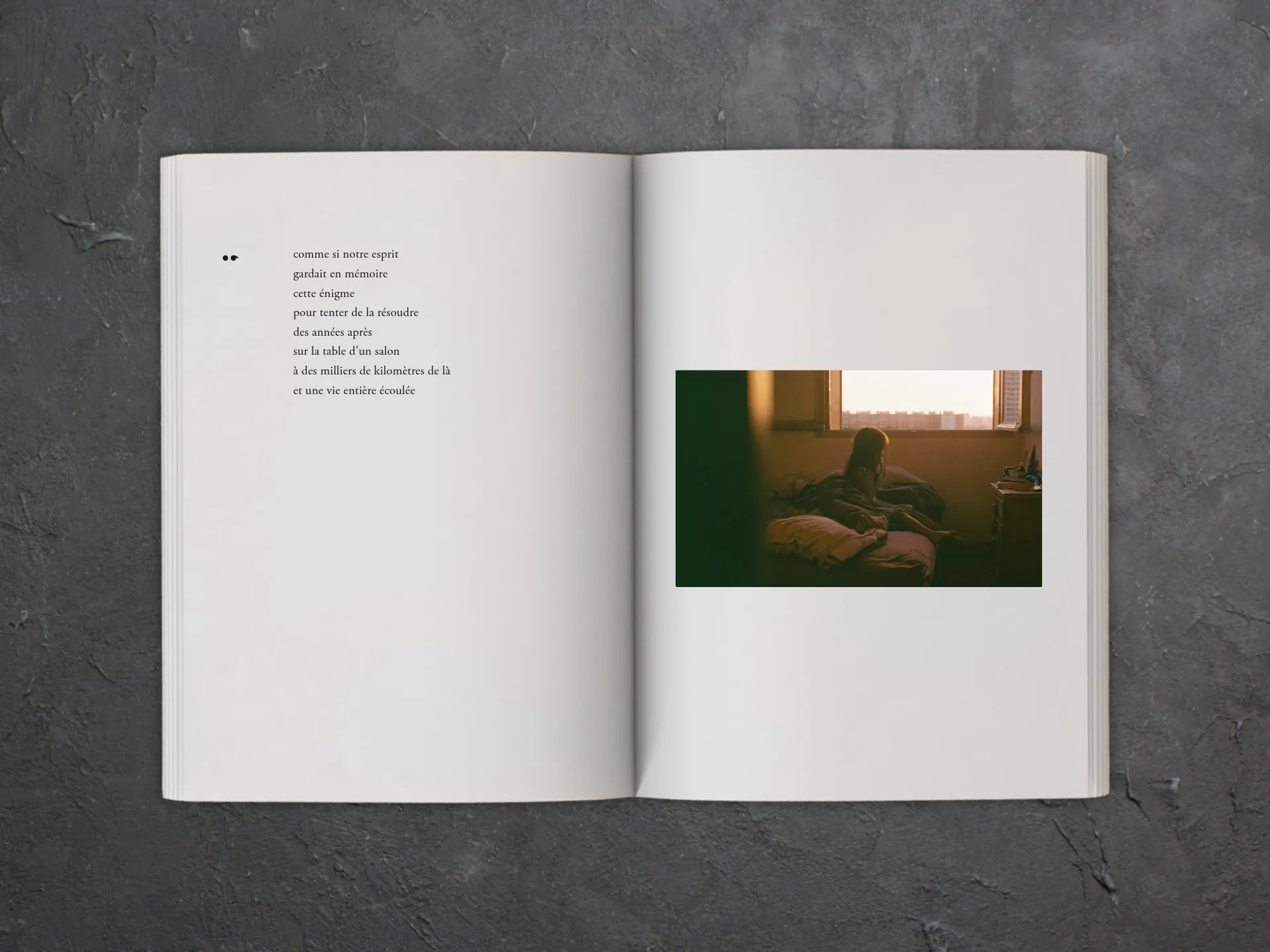Cover of the book