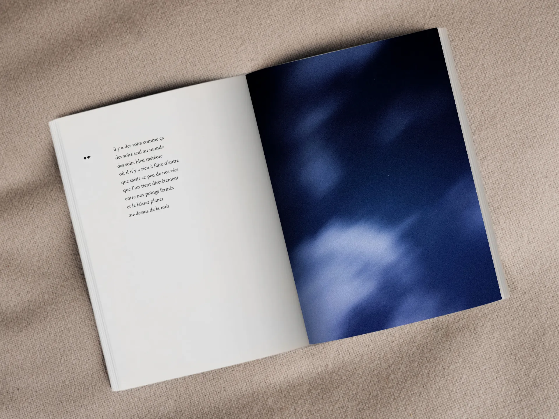 Cover of the book