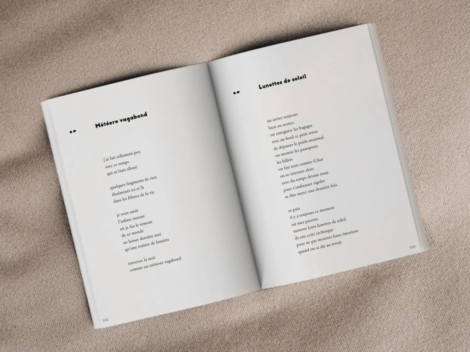 Cover of the book