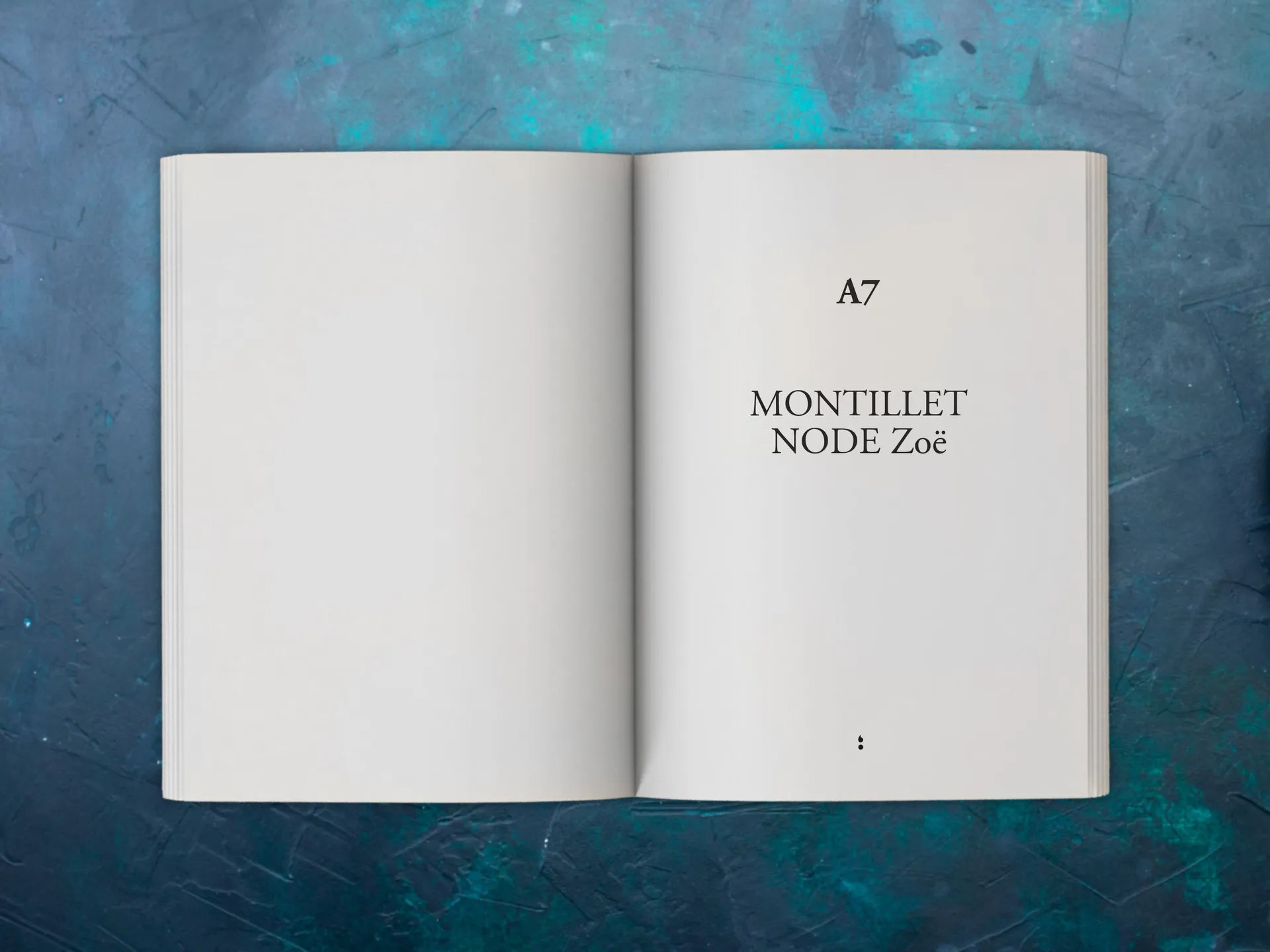 Cover of the book