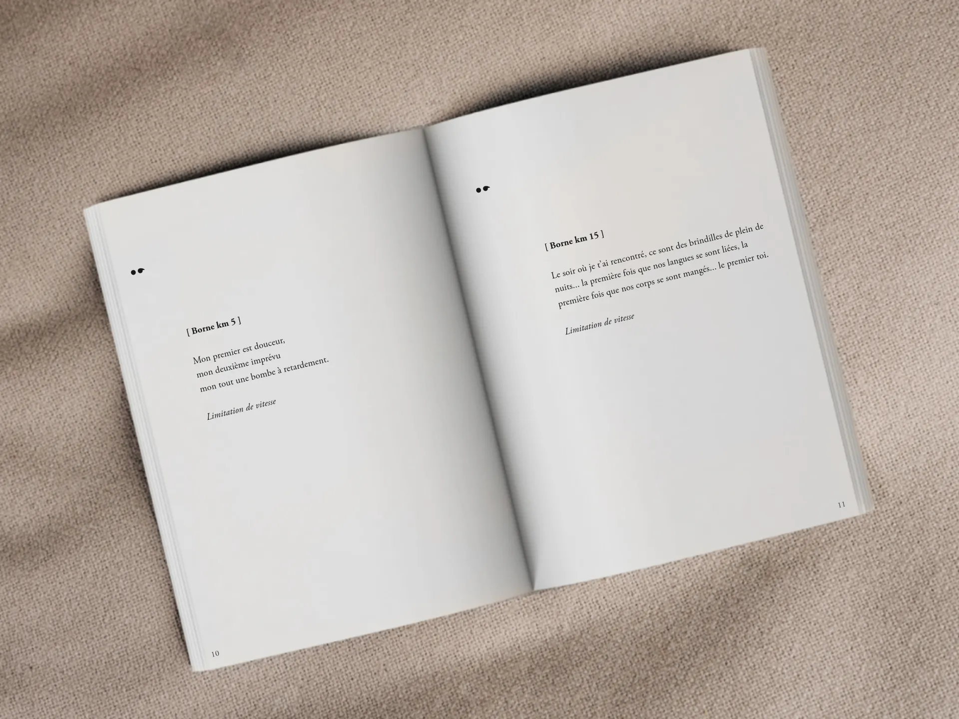 Cover of the book