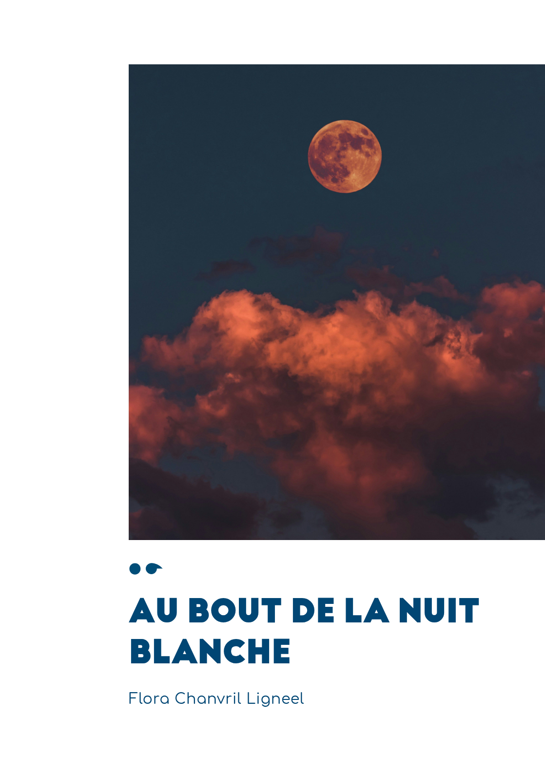 Cover of Au bout de la nuit blanche
