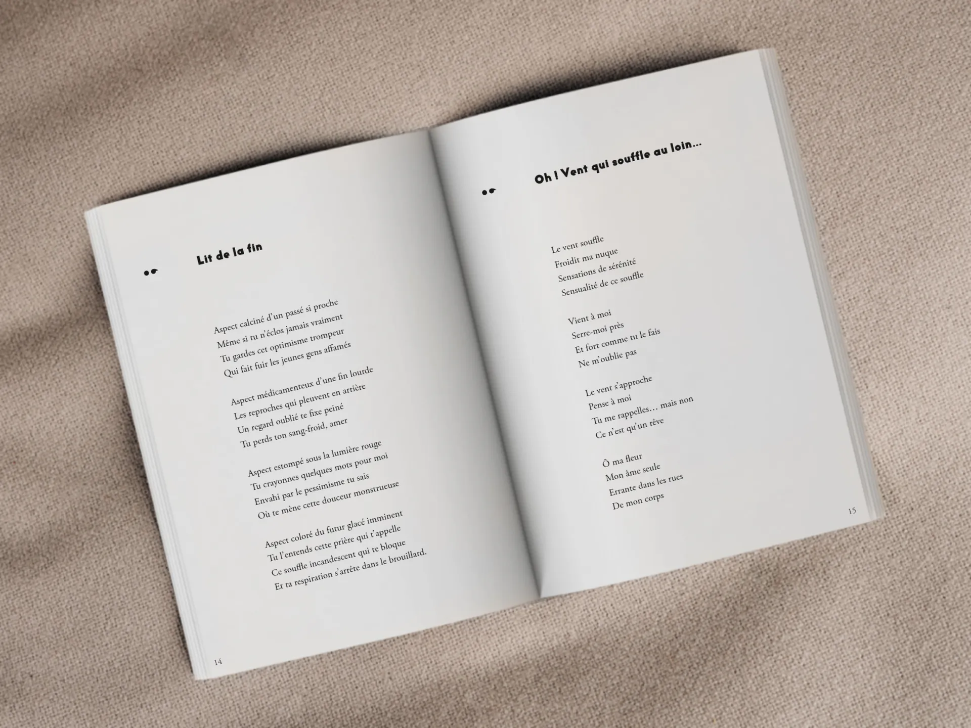 Cover of the book