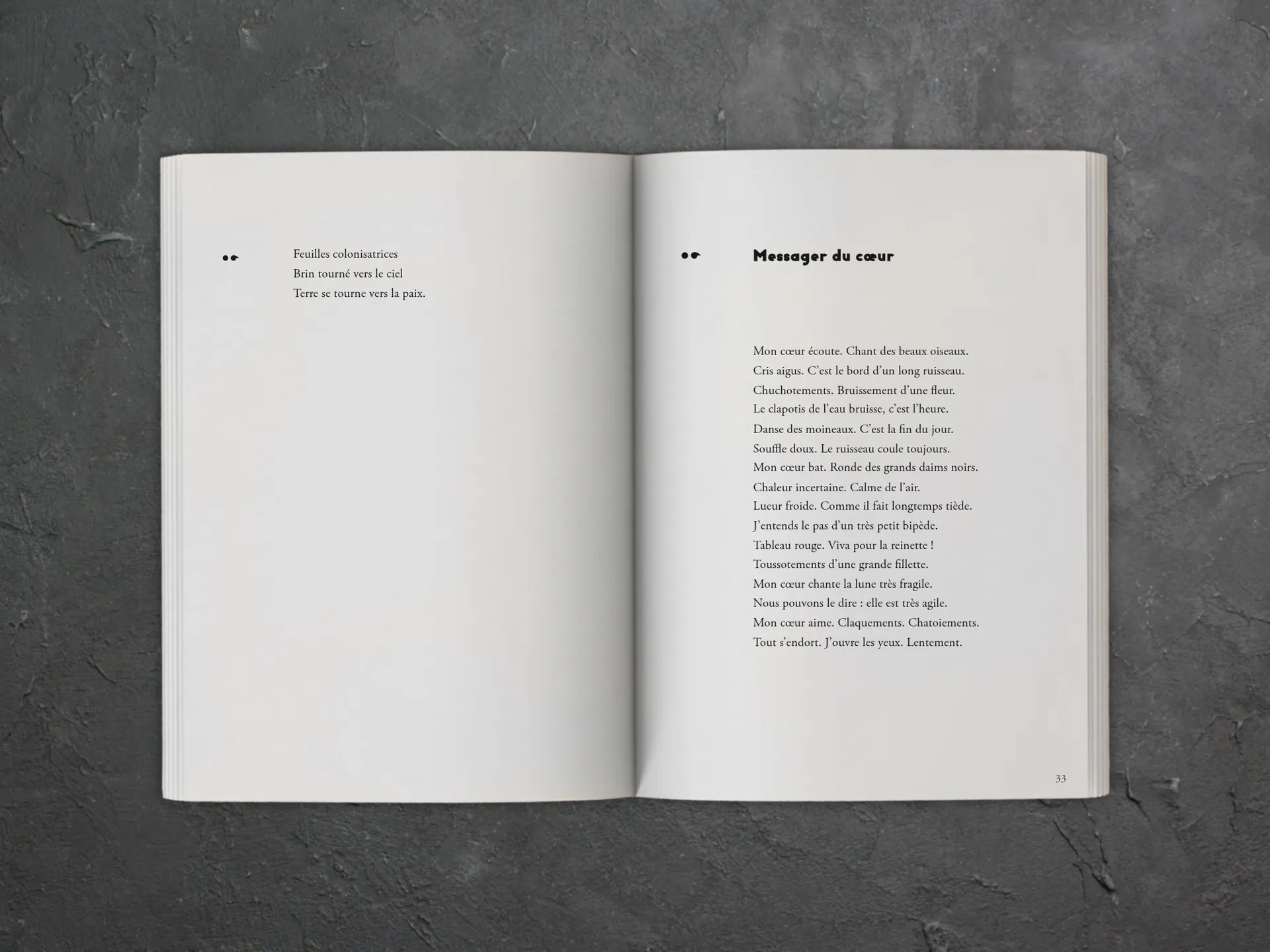 Cover of the book