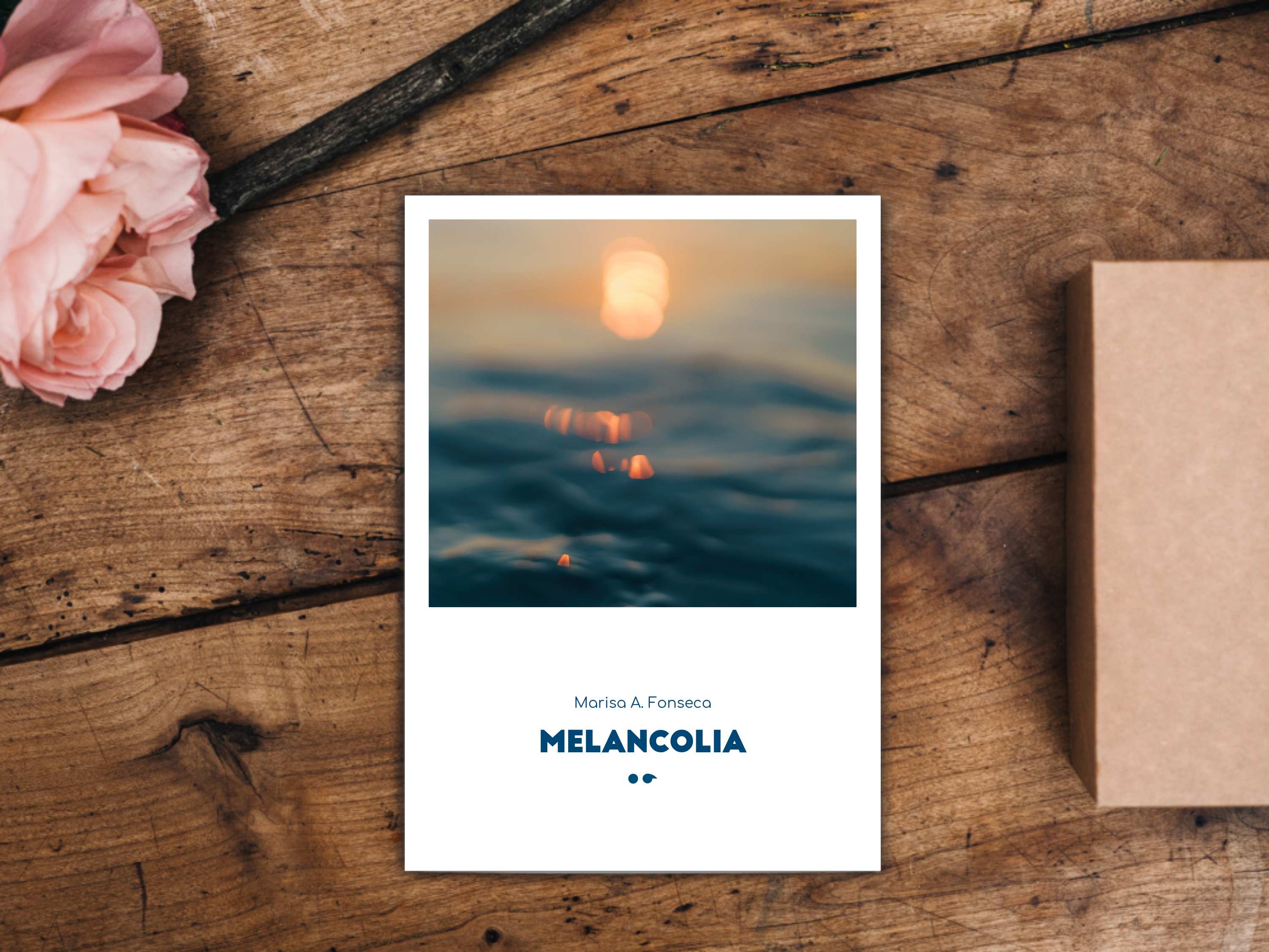 Cover of the book