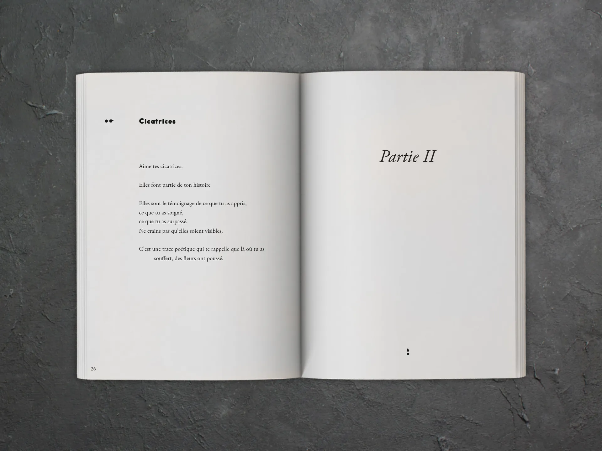 Cover of the book
