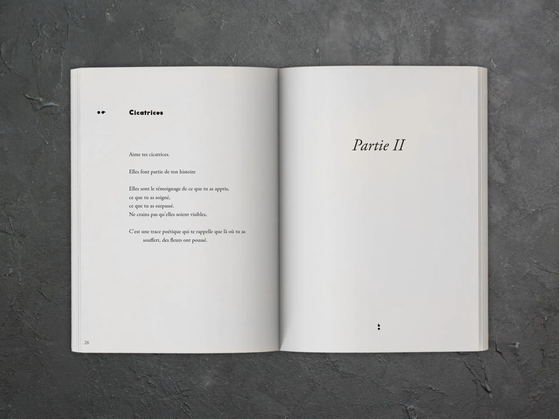 Cover of the book