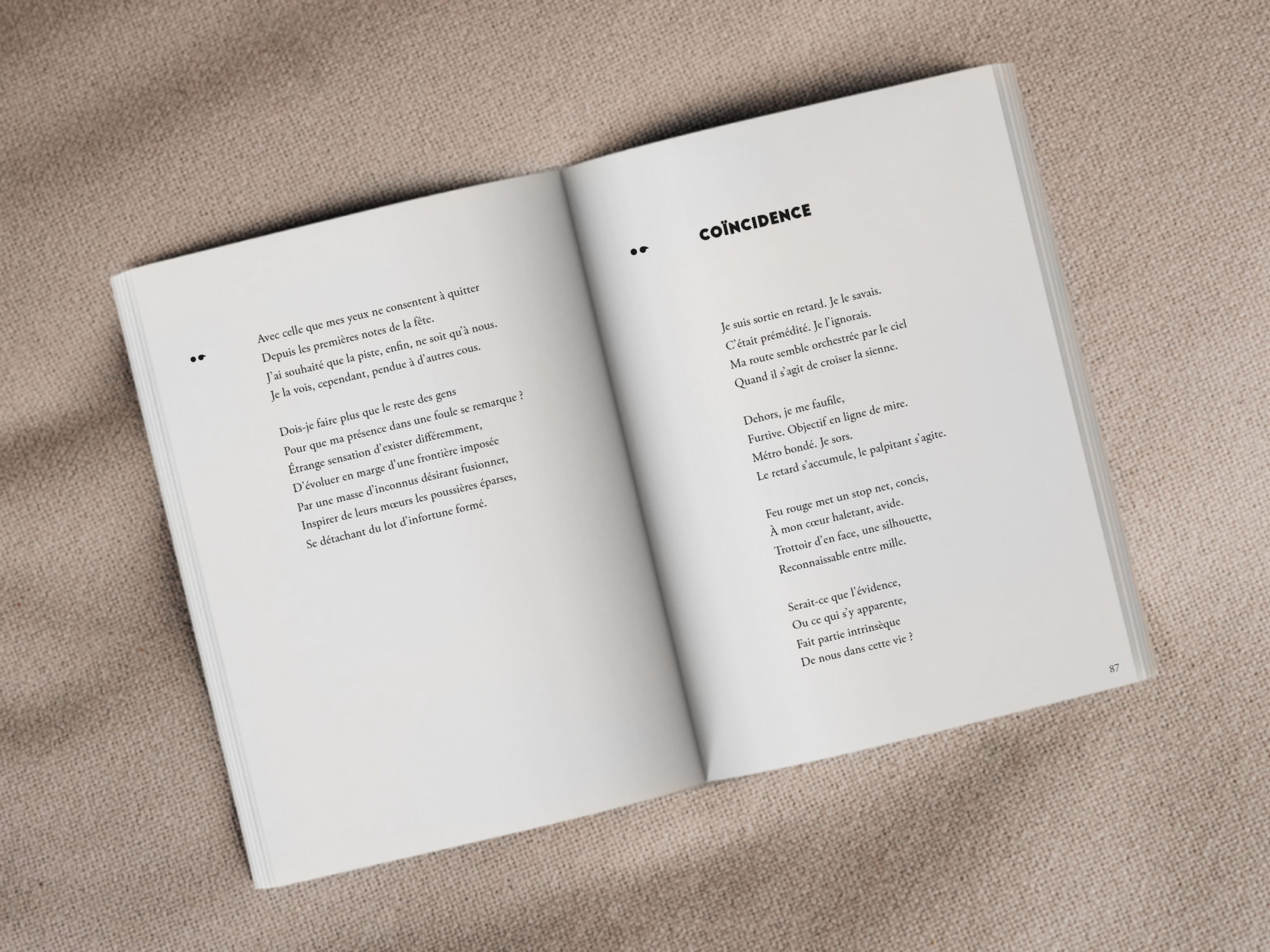 Cover of the book