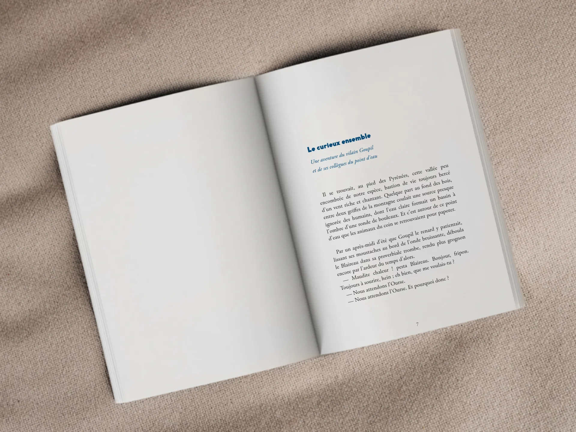 Cover of the book