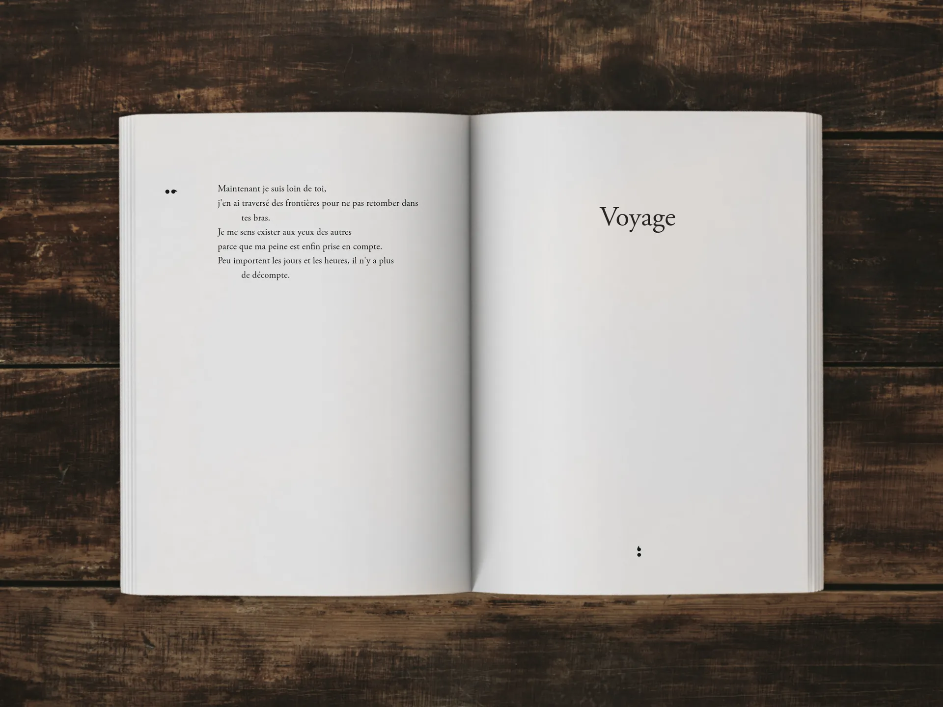 Cover of the book