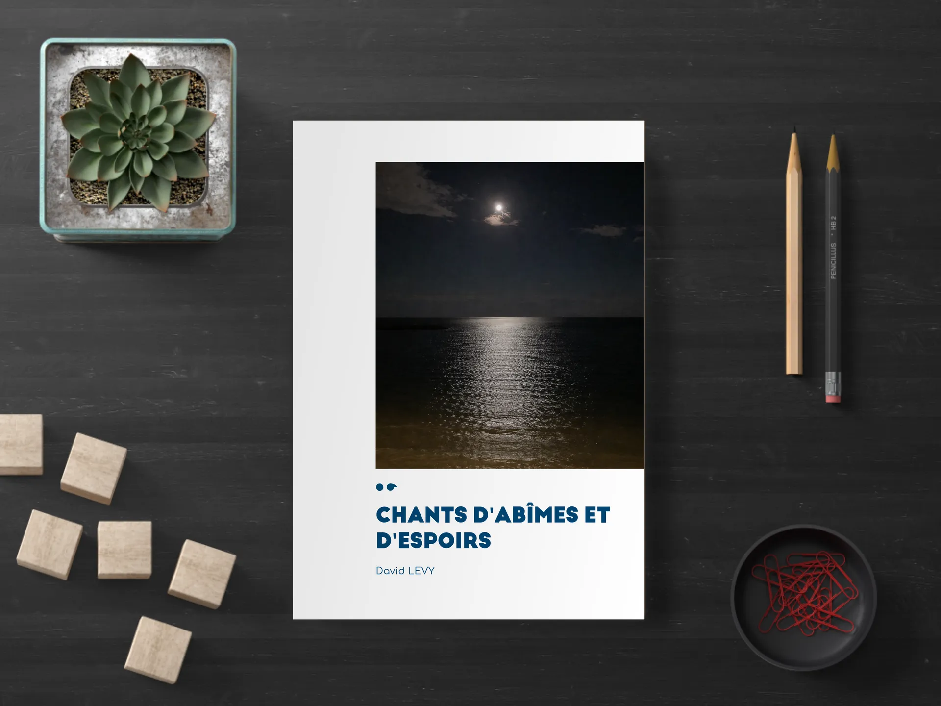 Cover of the book