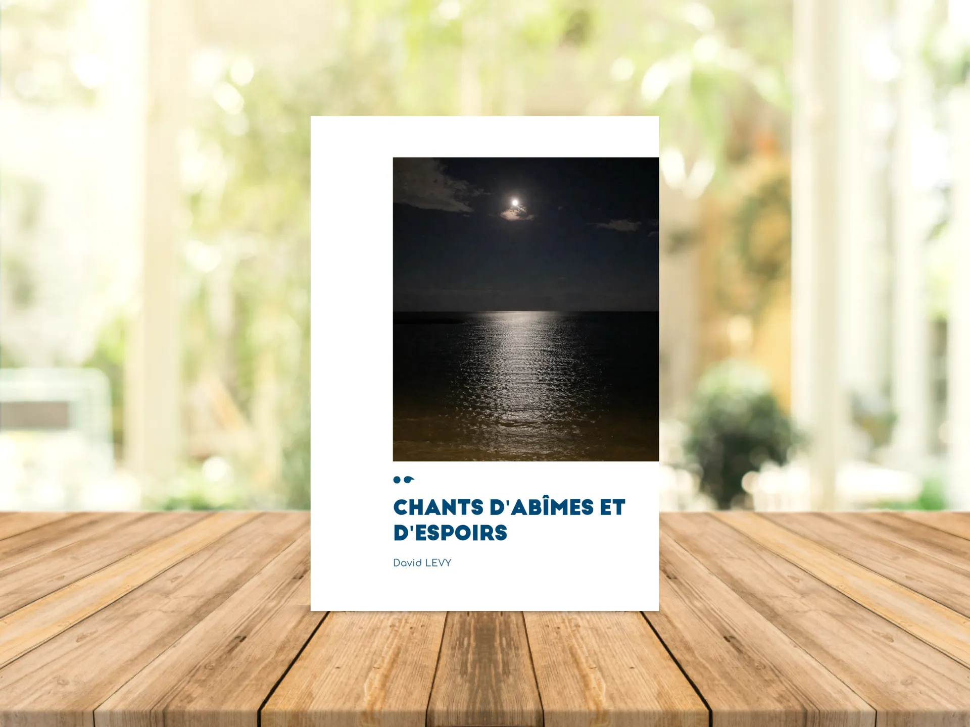 Cover of the book