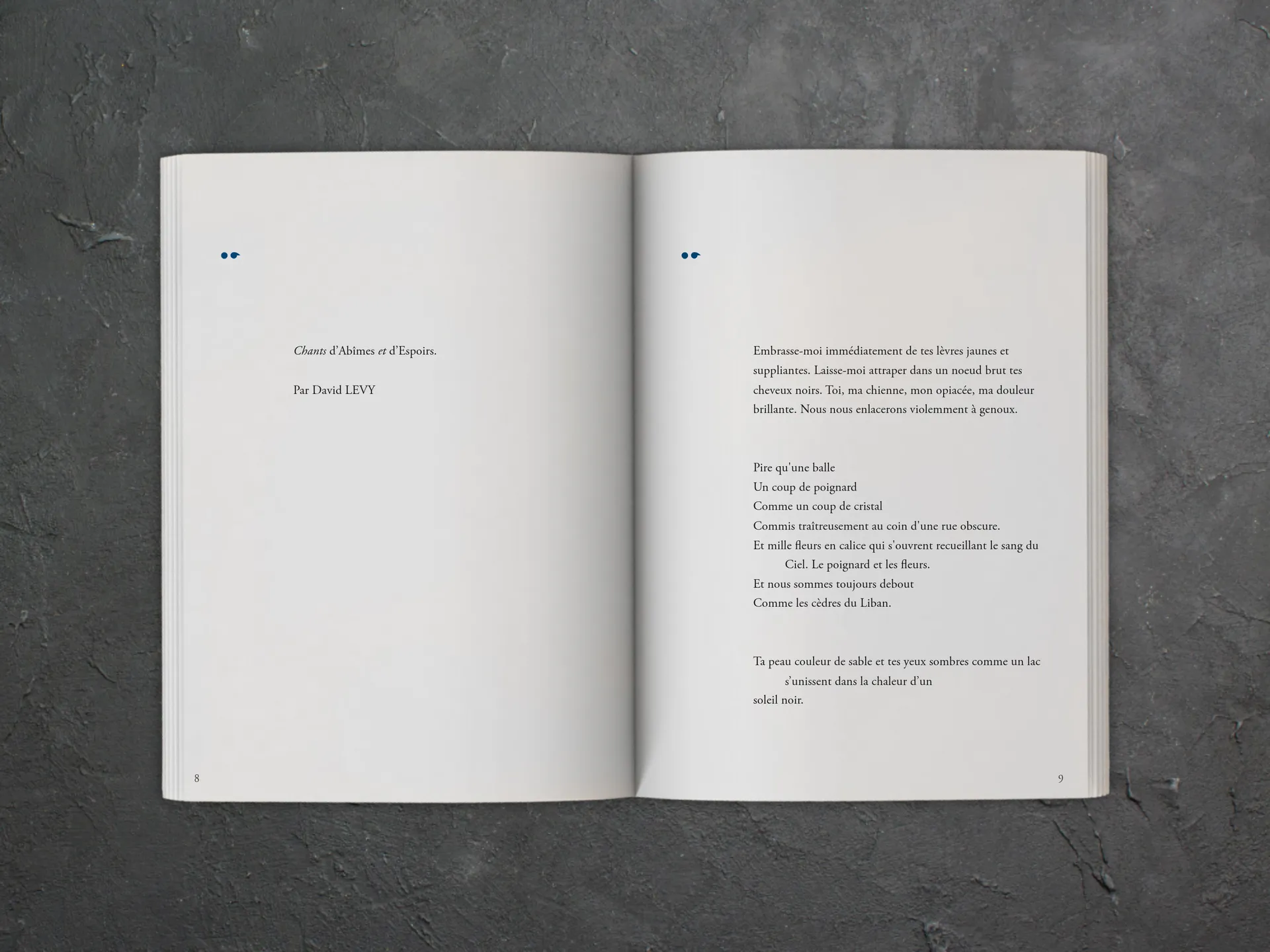 Cover of the book