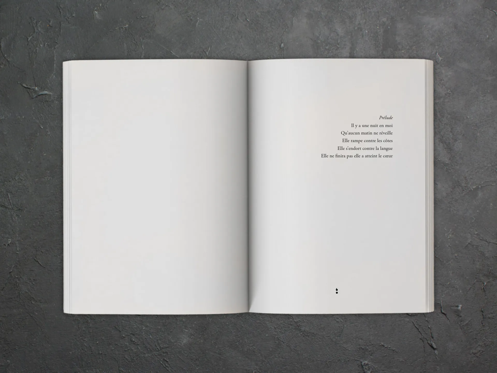 Cover of the book