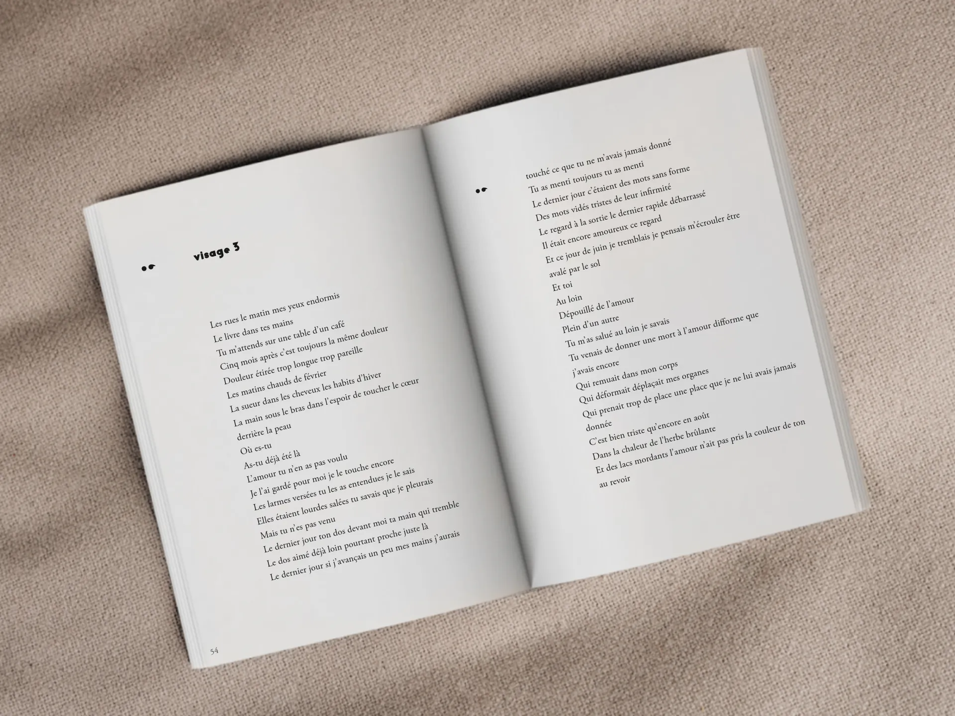Cover of the book