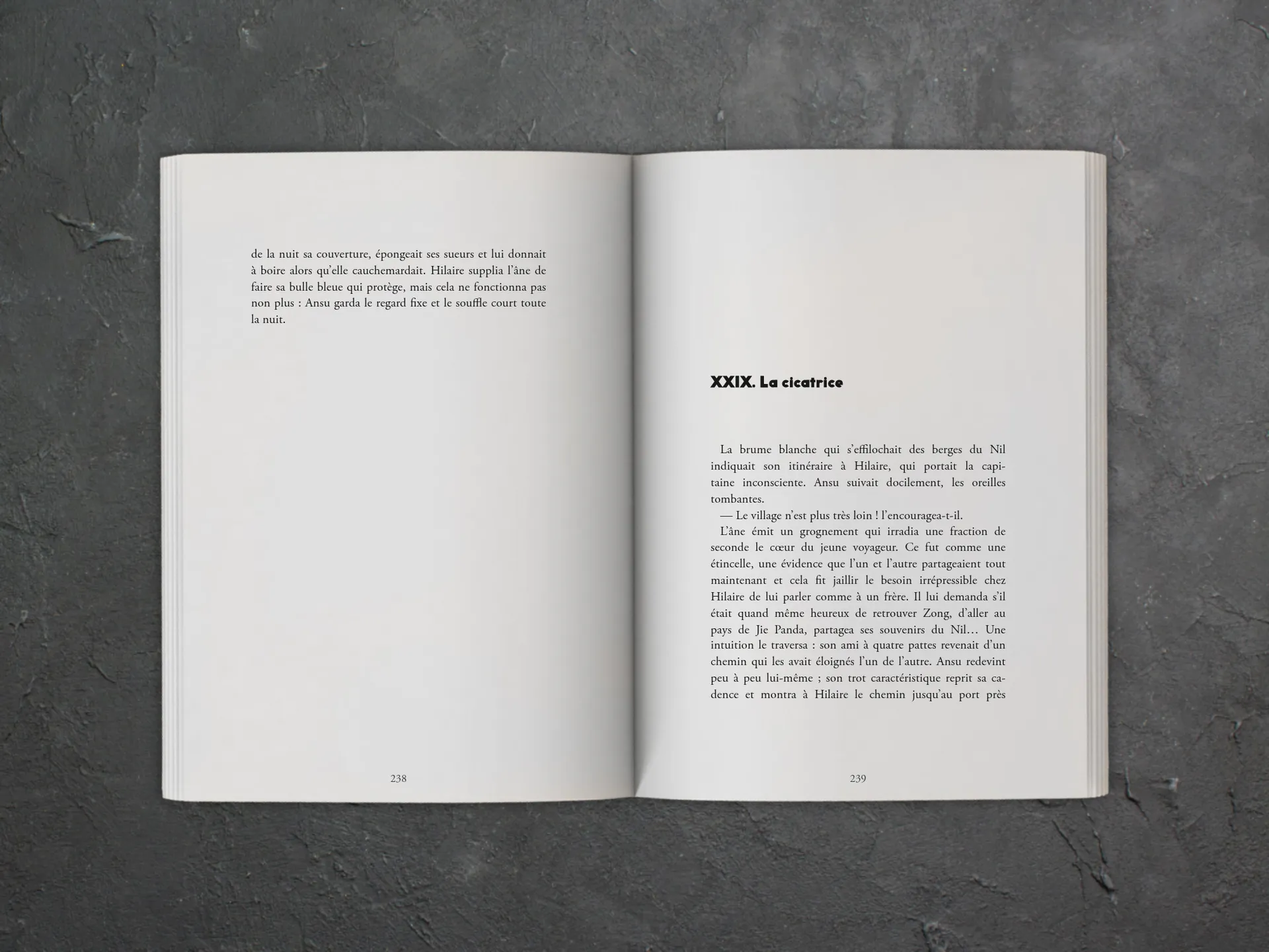 Cover of the book