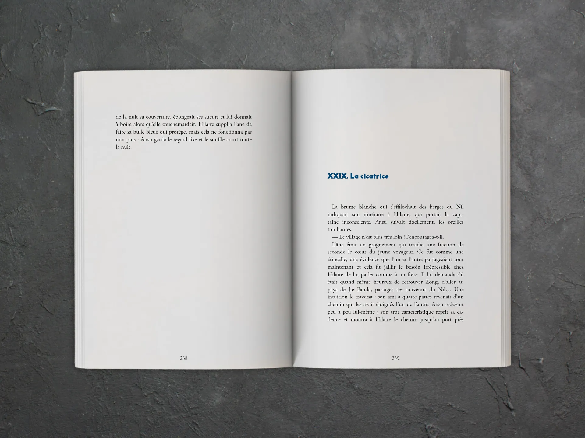 Cover of the book