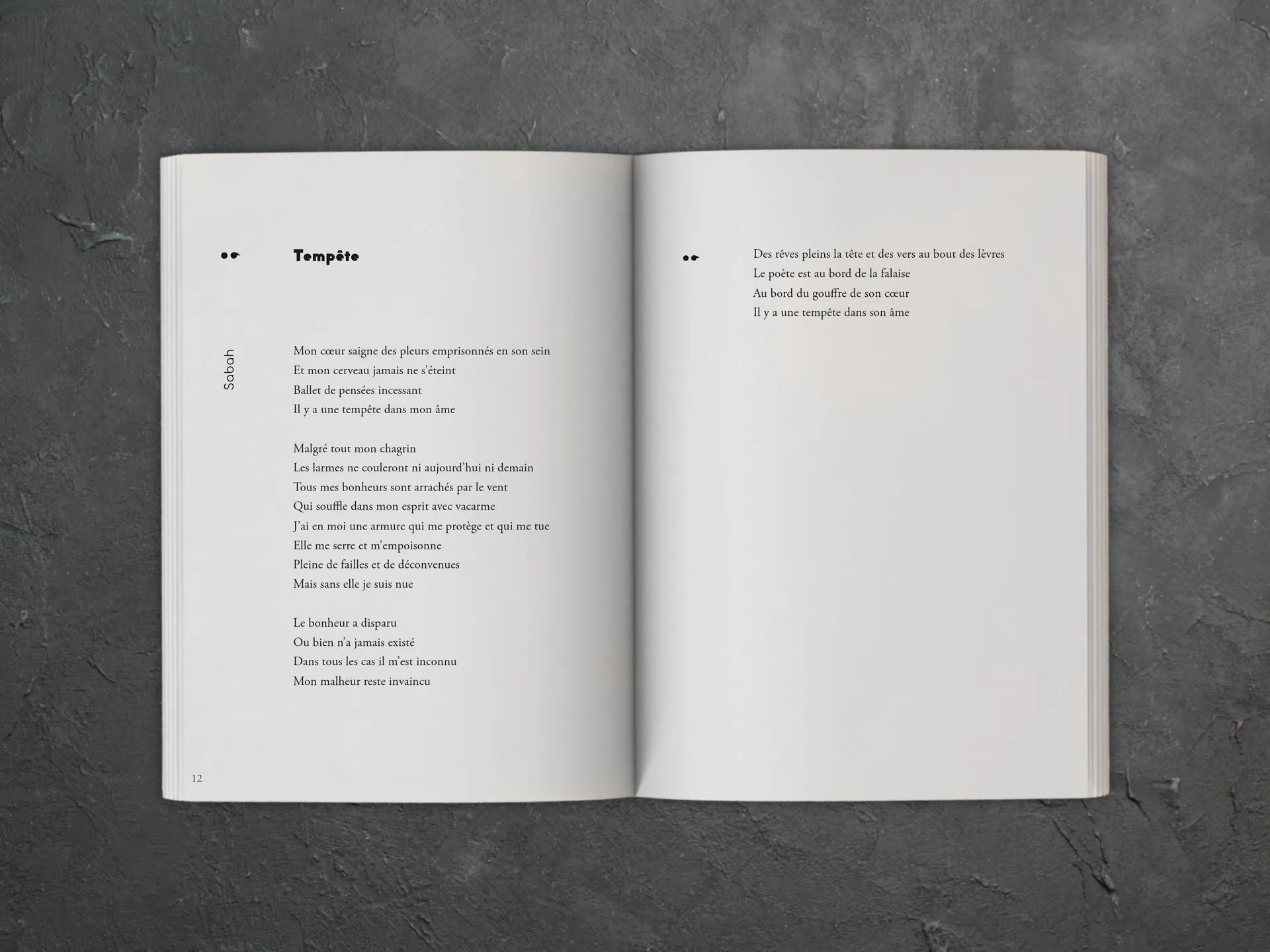 Cover of the book