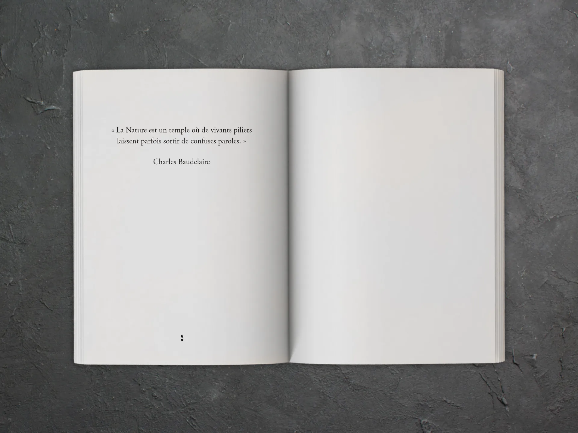 Cover of the book