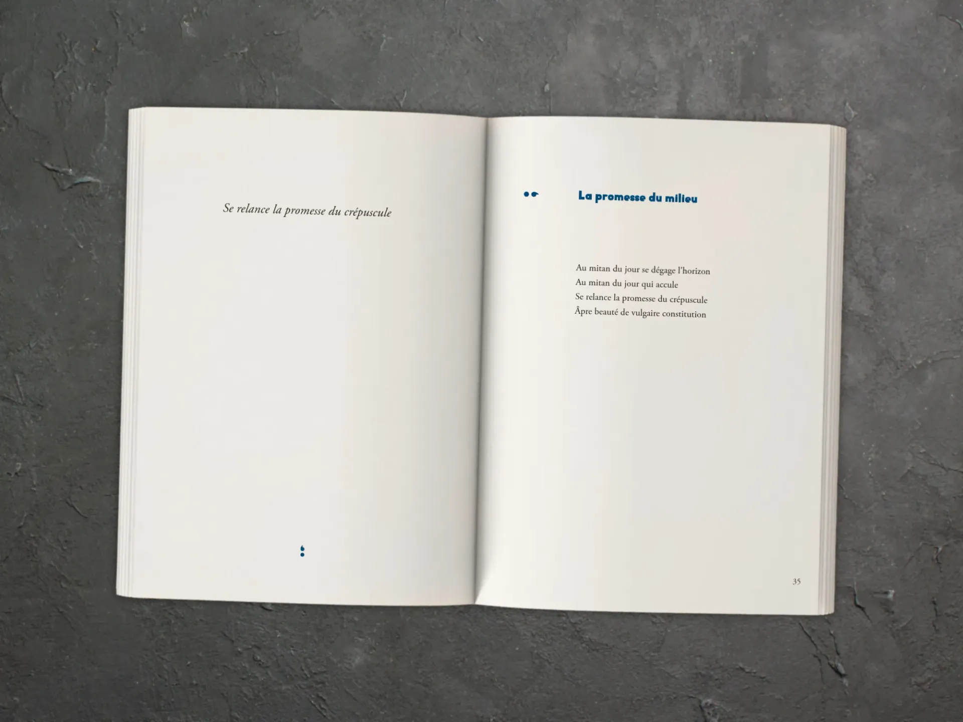 Cover of the book