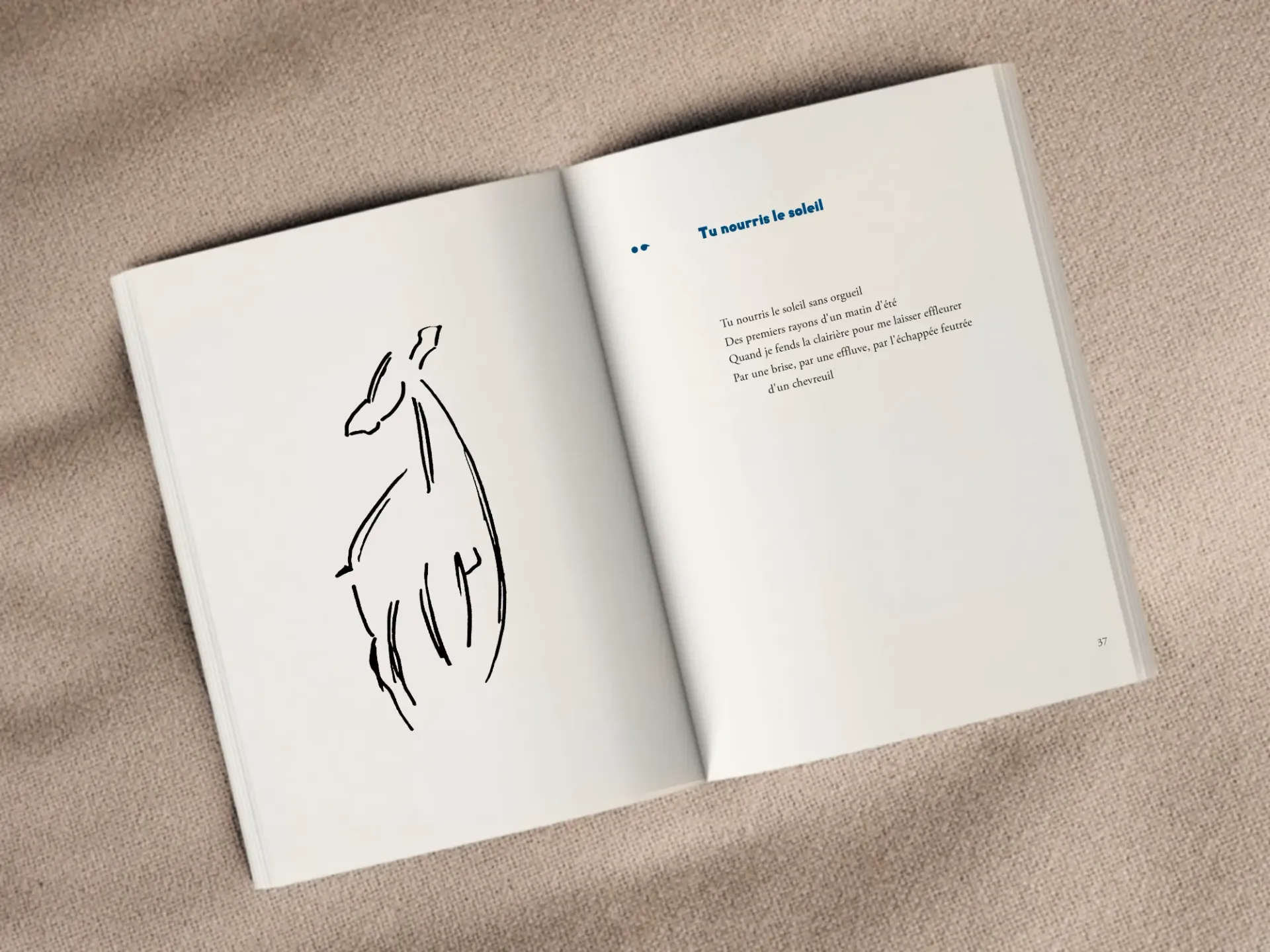 Cover of the book