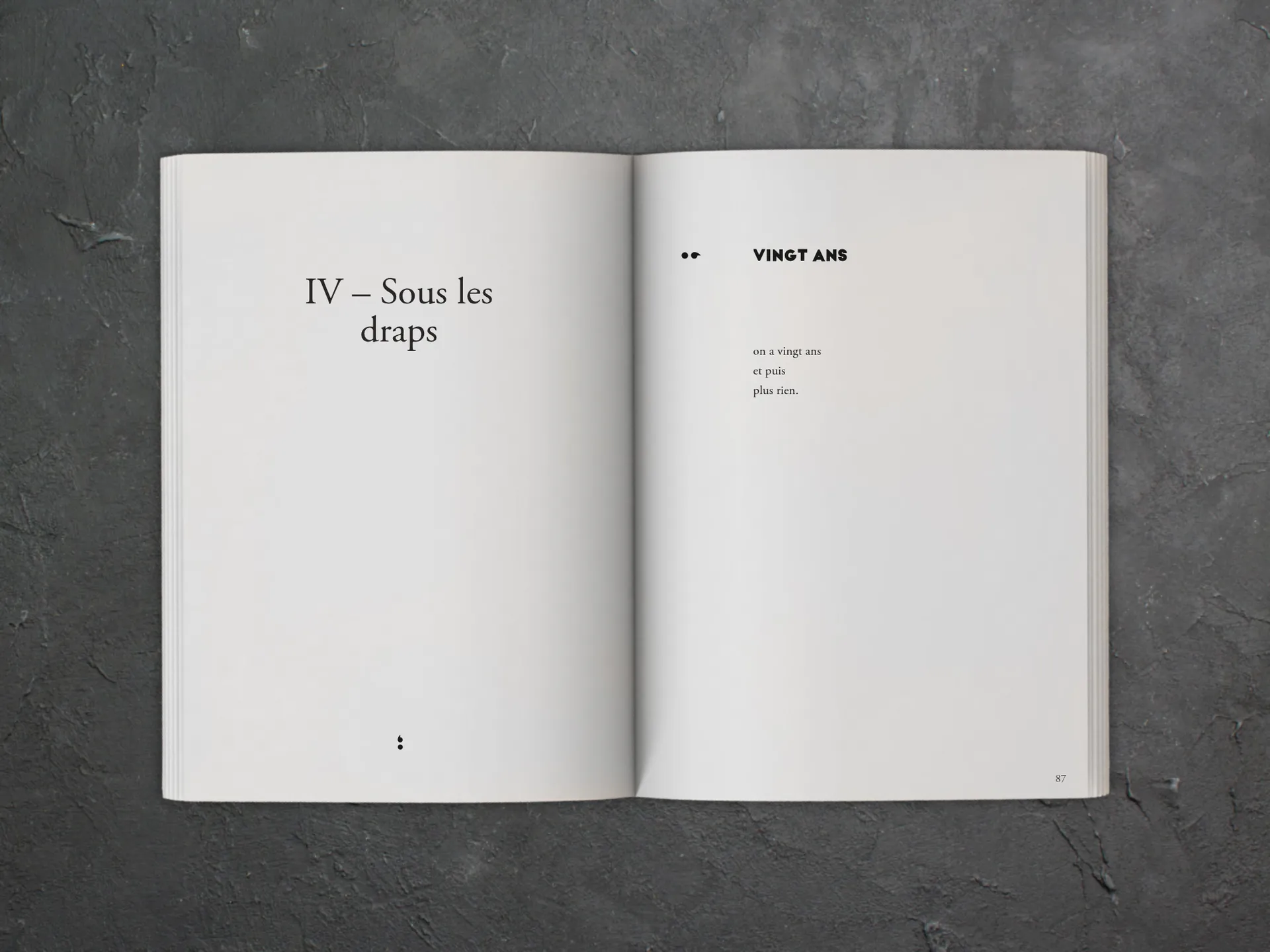 Cover of the book