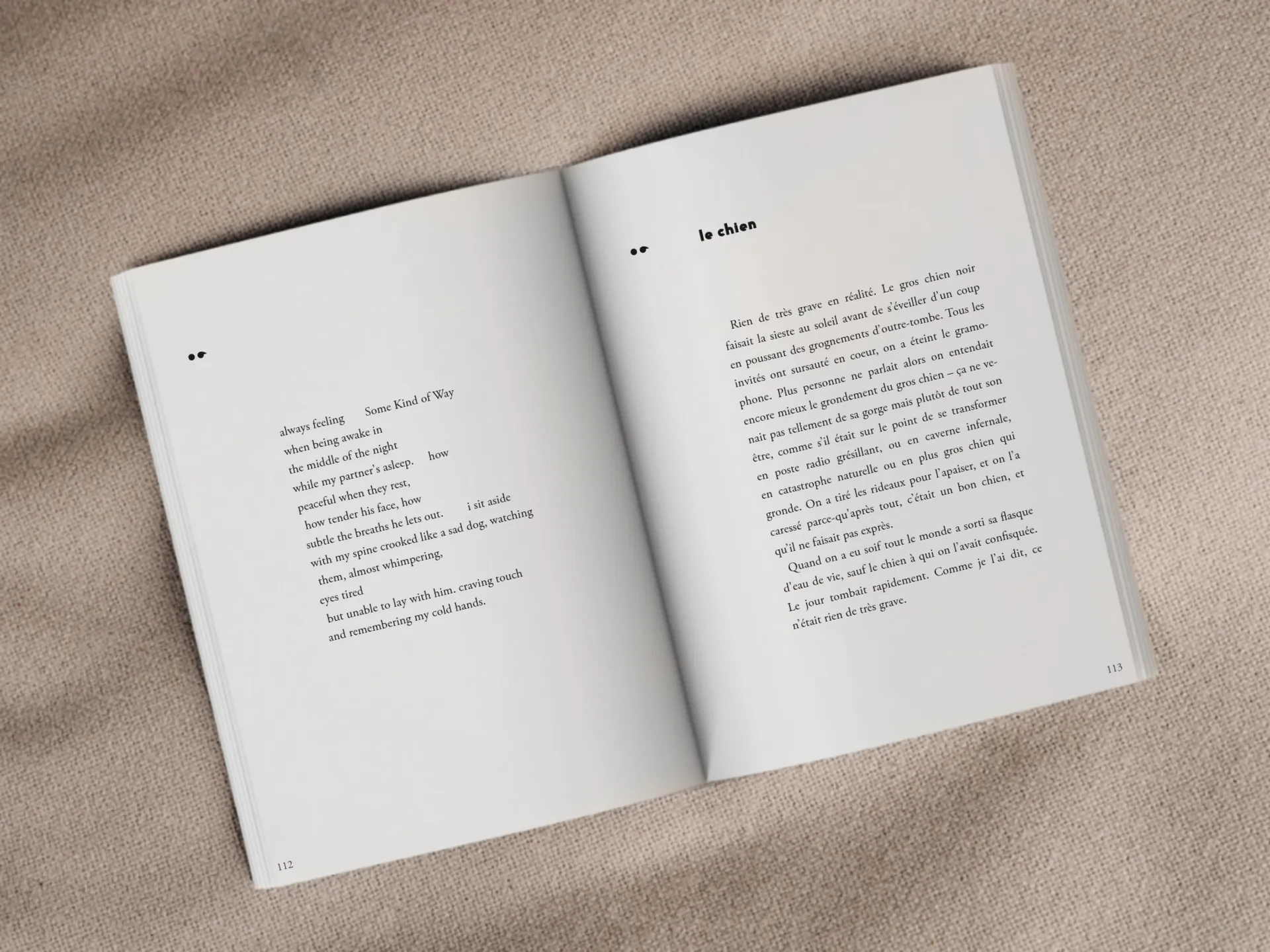 Cover of the book
