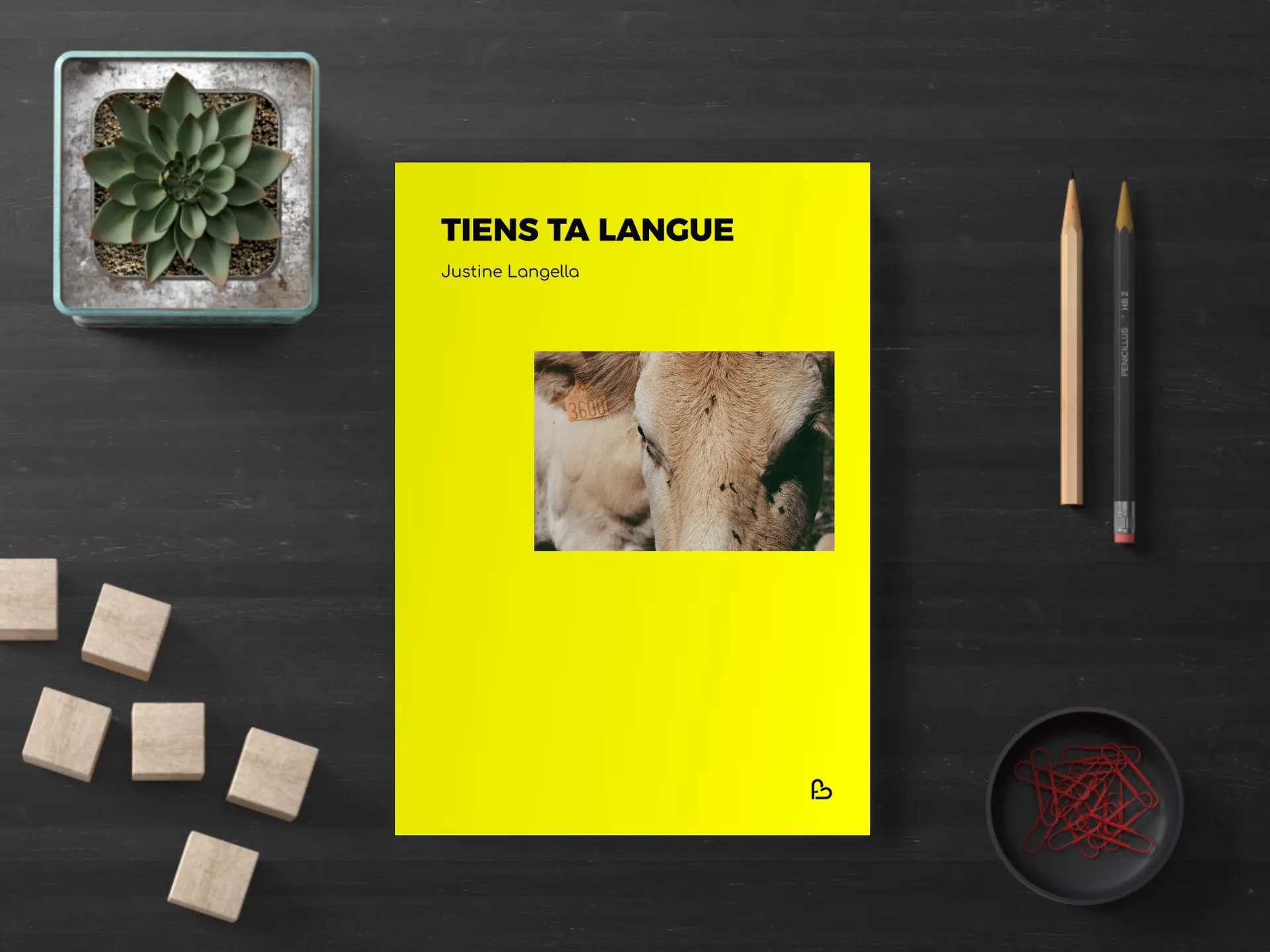 Cover of the book