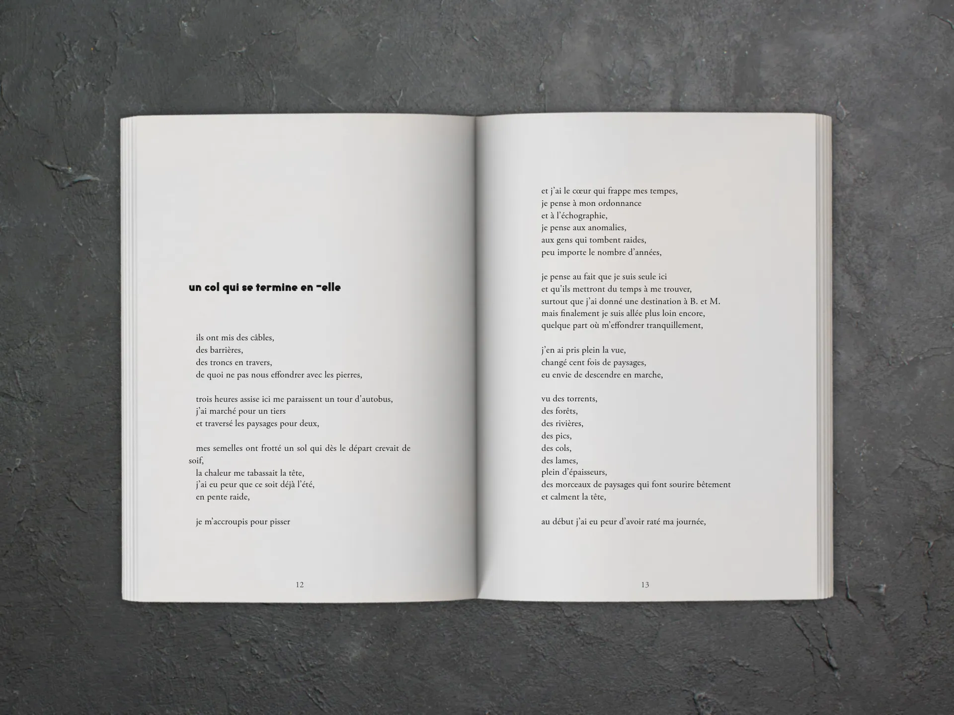 Cover of the book