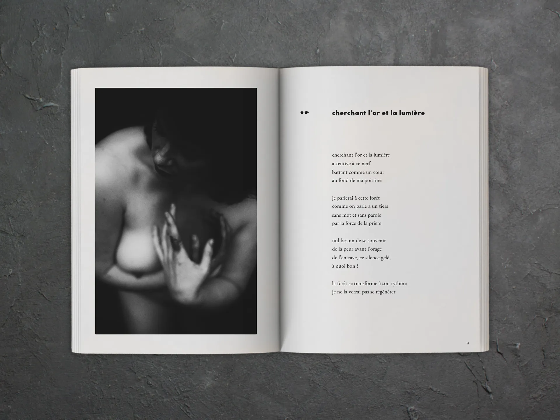 Cover of the book