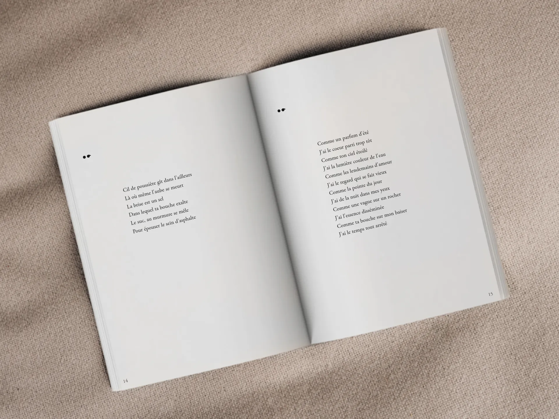 Cover of the book