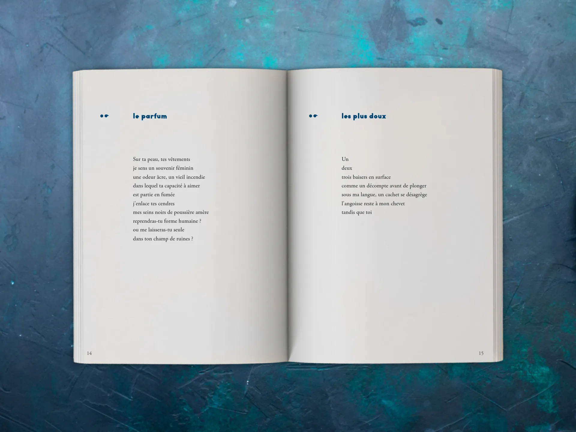 Cover of the book