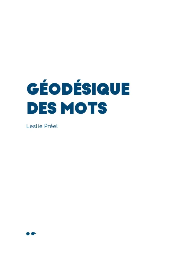 Cover of Géodésique des mots