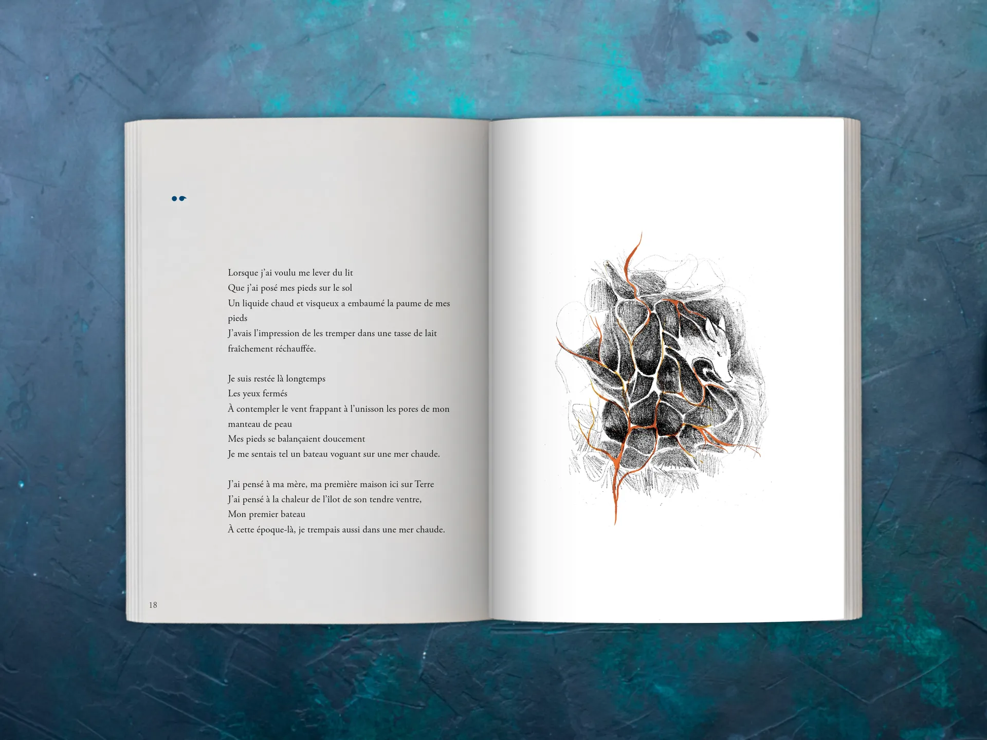 Cover of the book