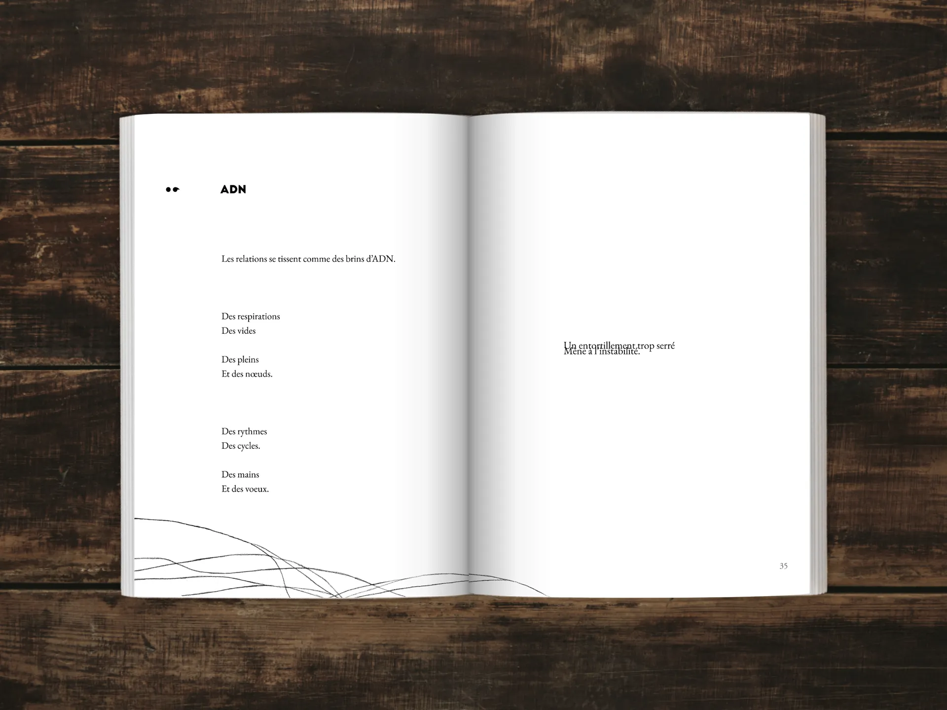Cover of the book