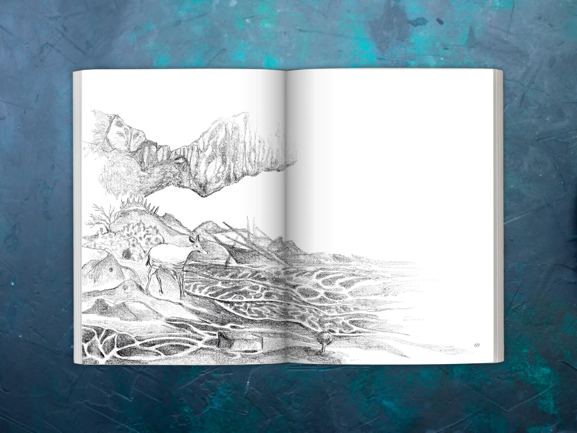 Cover of the book