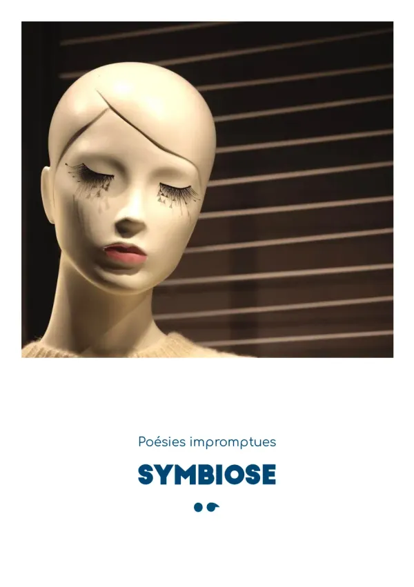 Cover of Symbiose