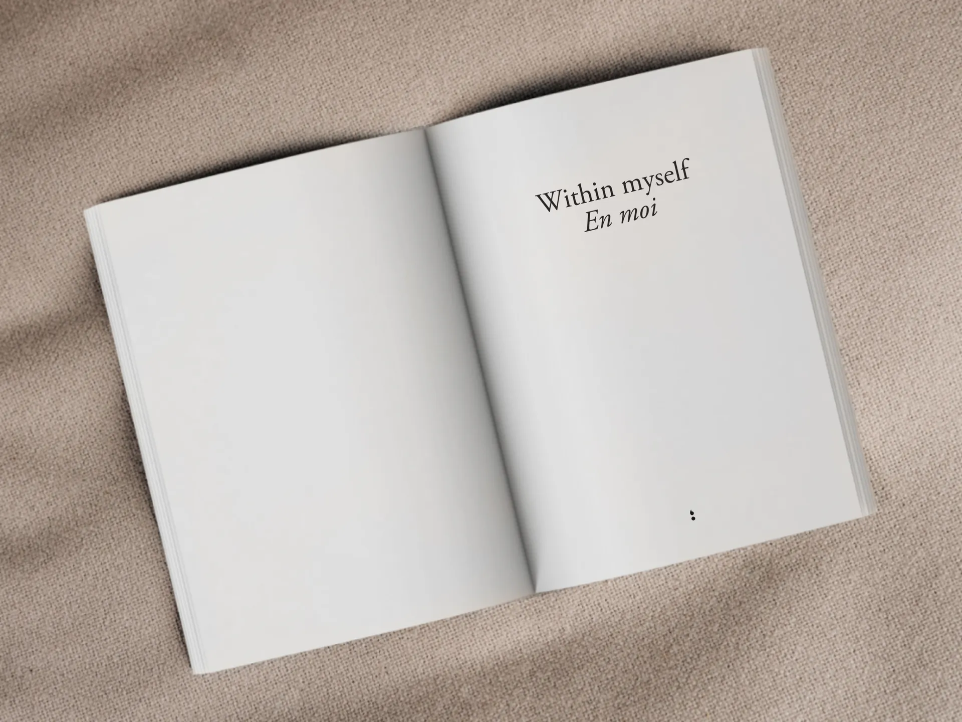 Cover of the book