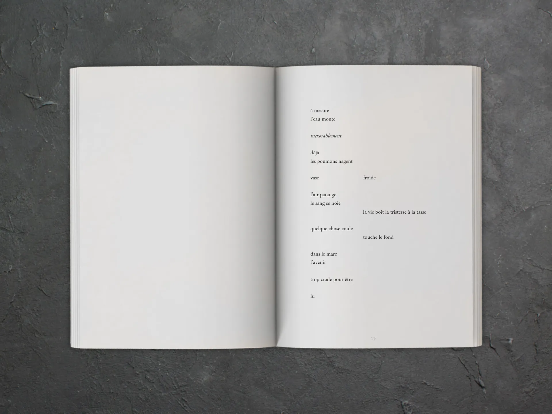 Cover of the book
