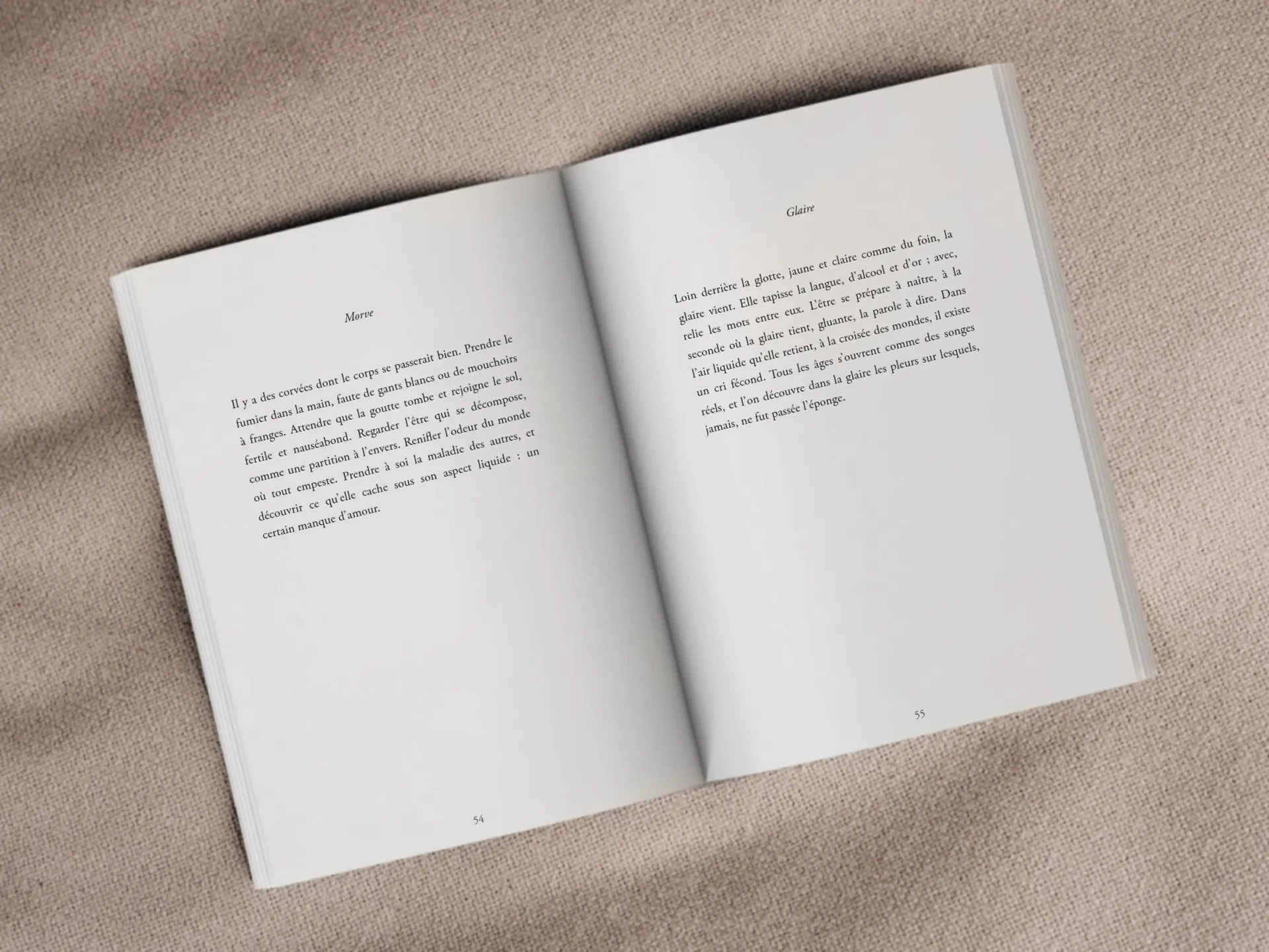 Cover of the book