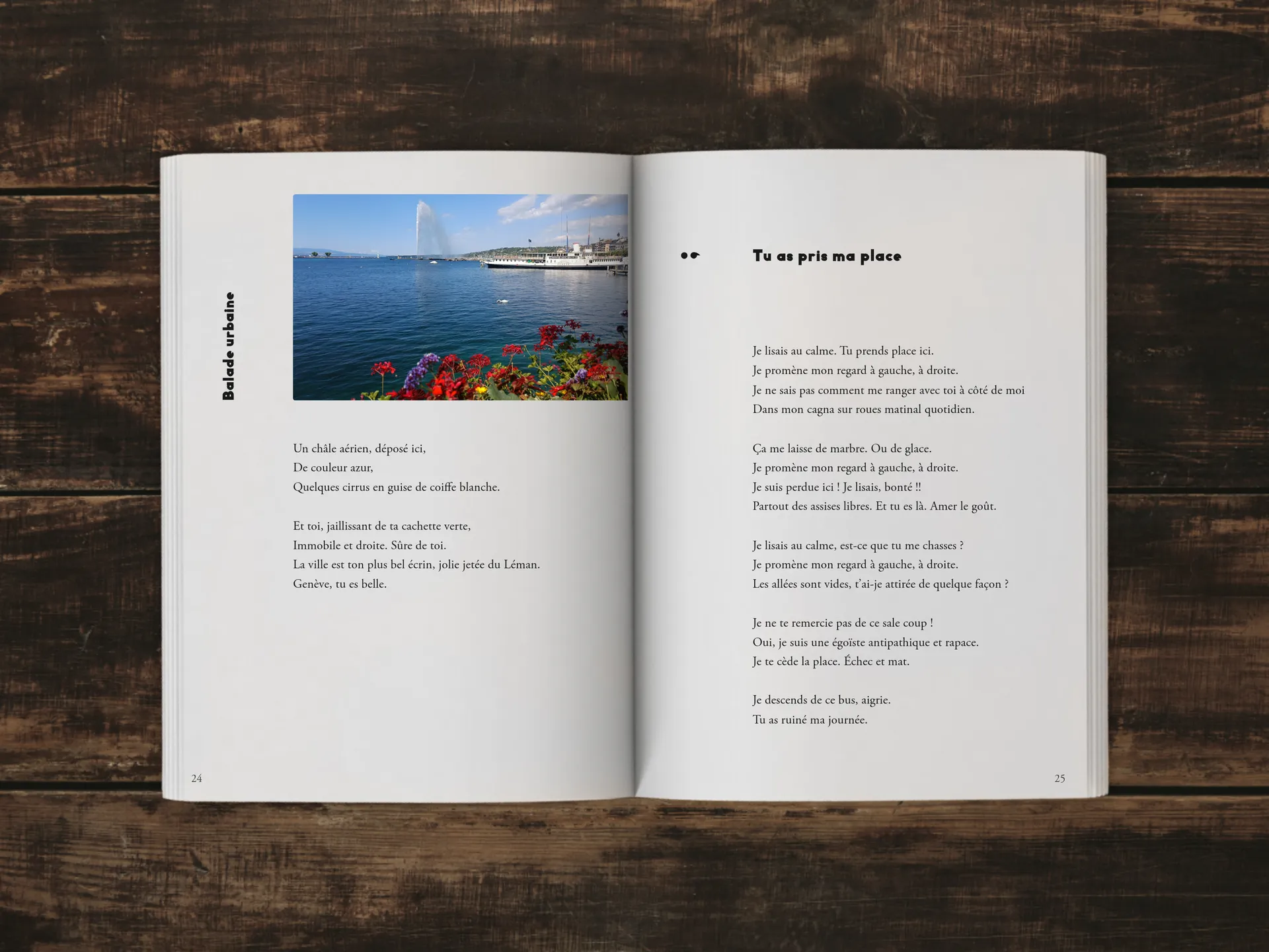 Cover of the book