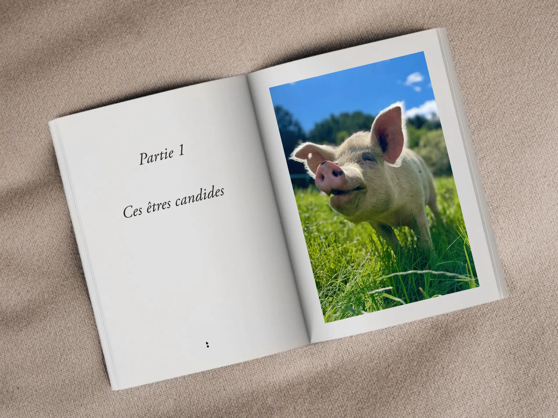 Cover of the book