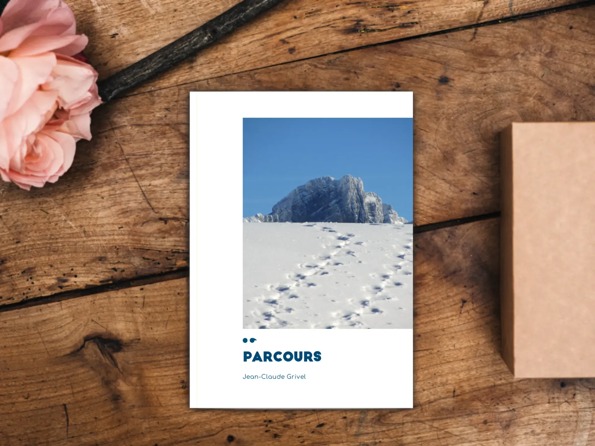 Cover of the book