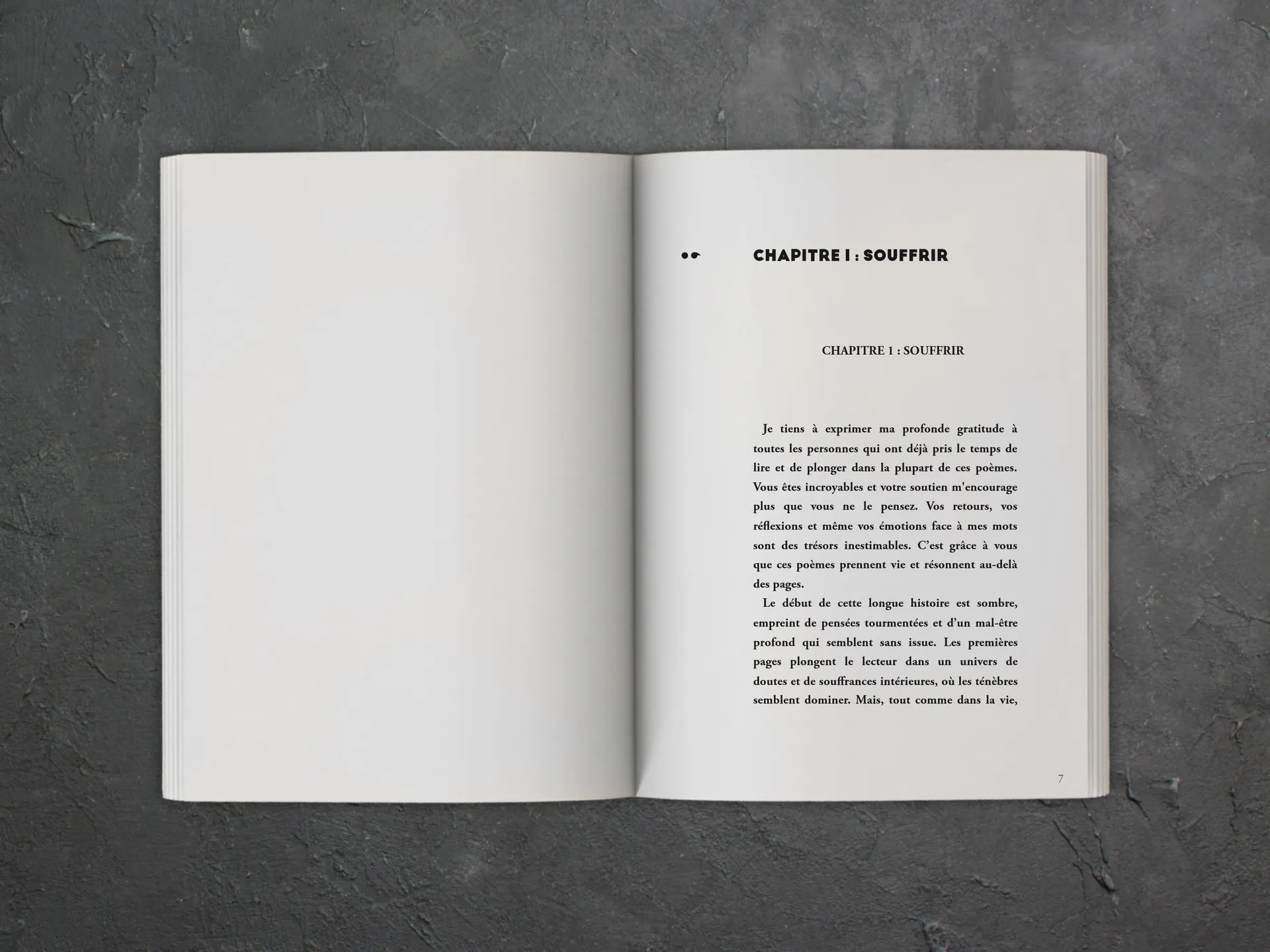 Cover of the book